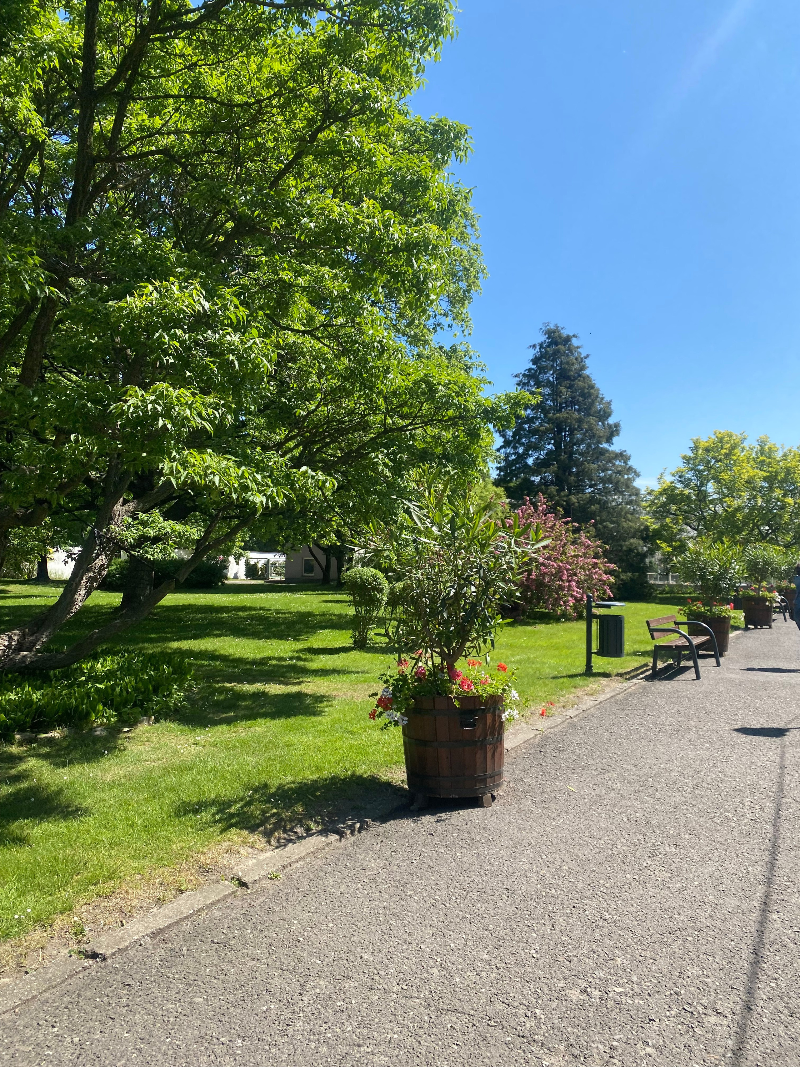 Валбджих. Своя Мастерская