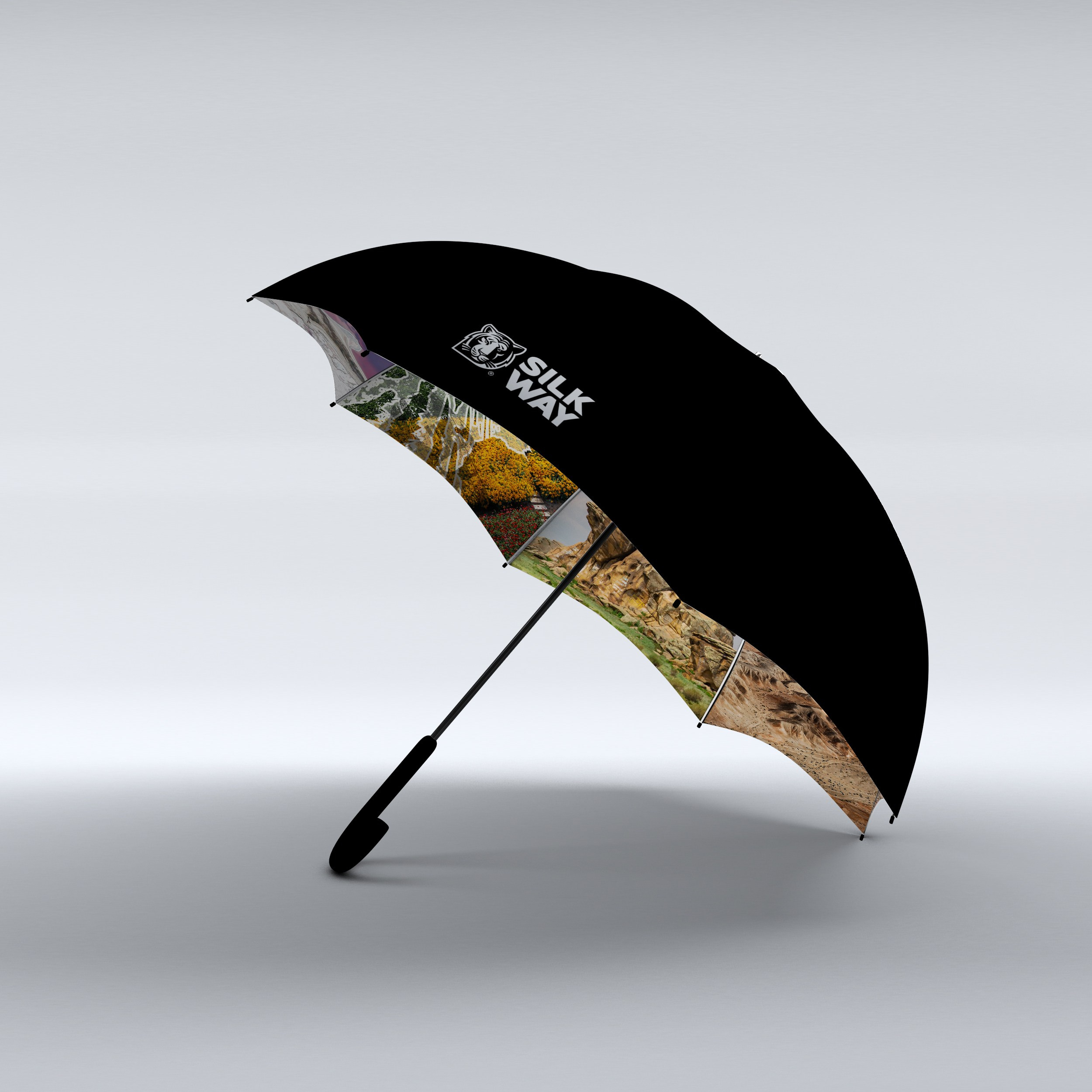 SILK WAY RALLY. Портфолио