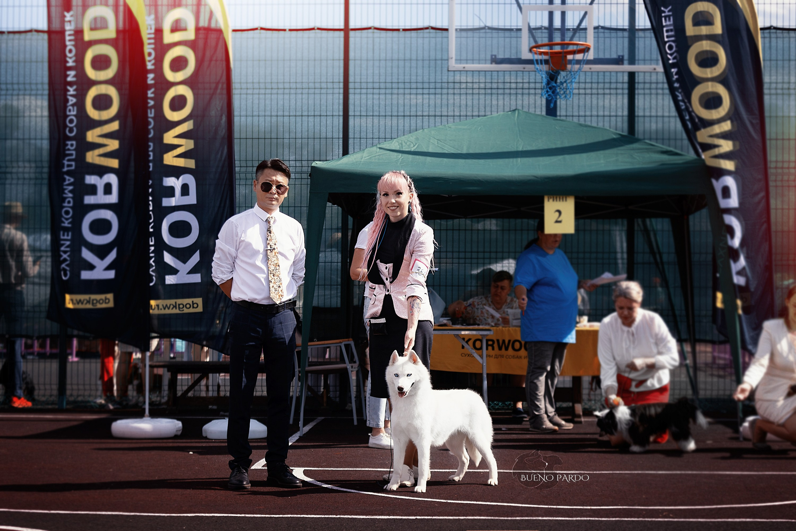 Выставки и победы наших  собак. Питомник собак Акита, Хаски, Корги