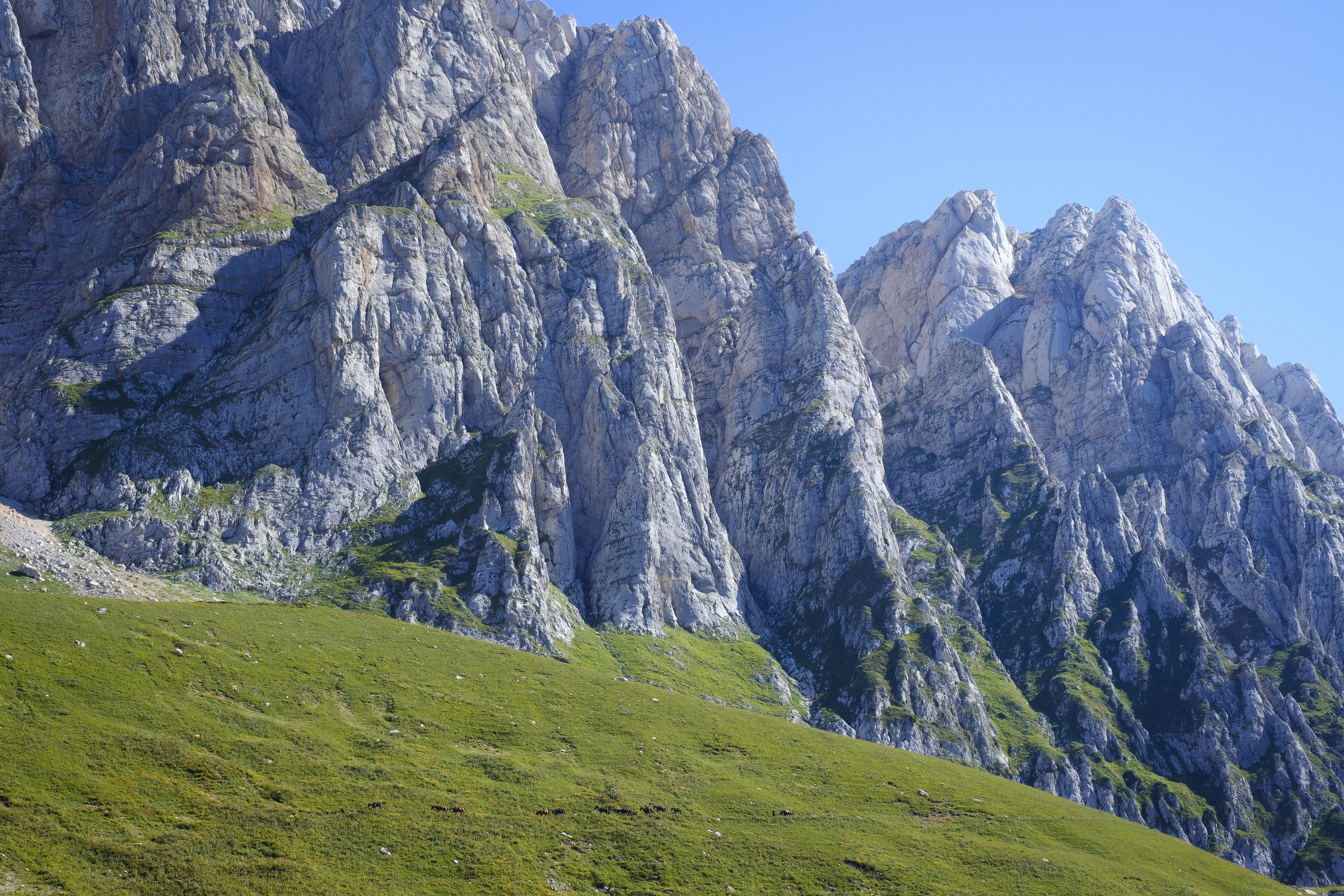 Тридцатка | август 2023