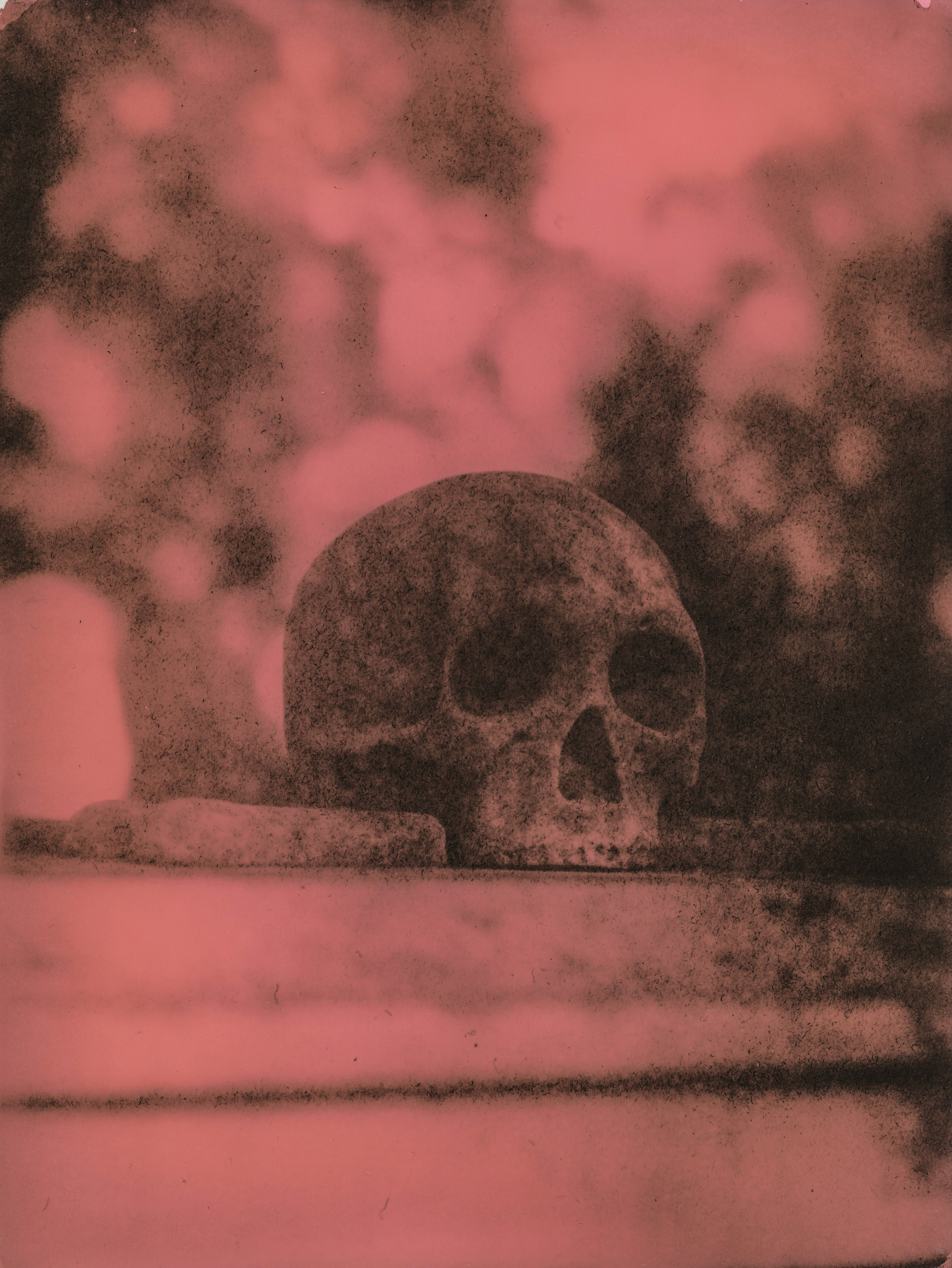 Lith prints. Darkroom aesthetics