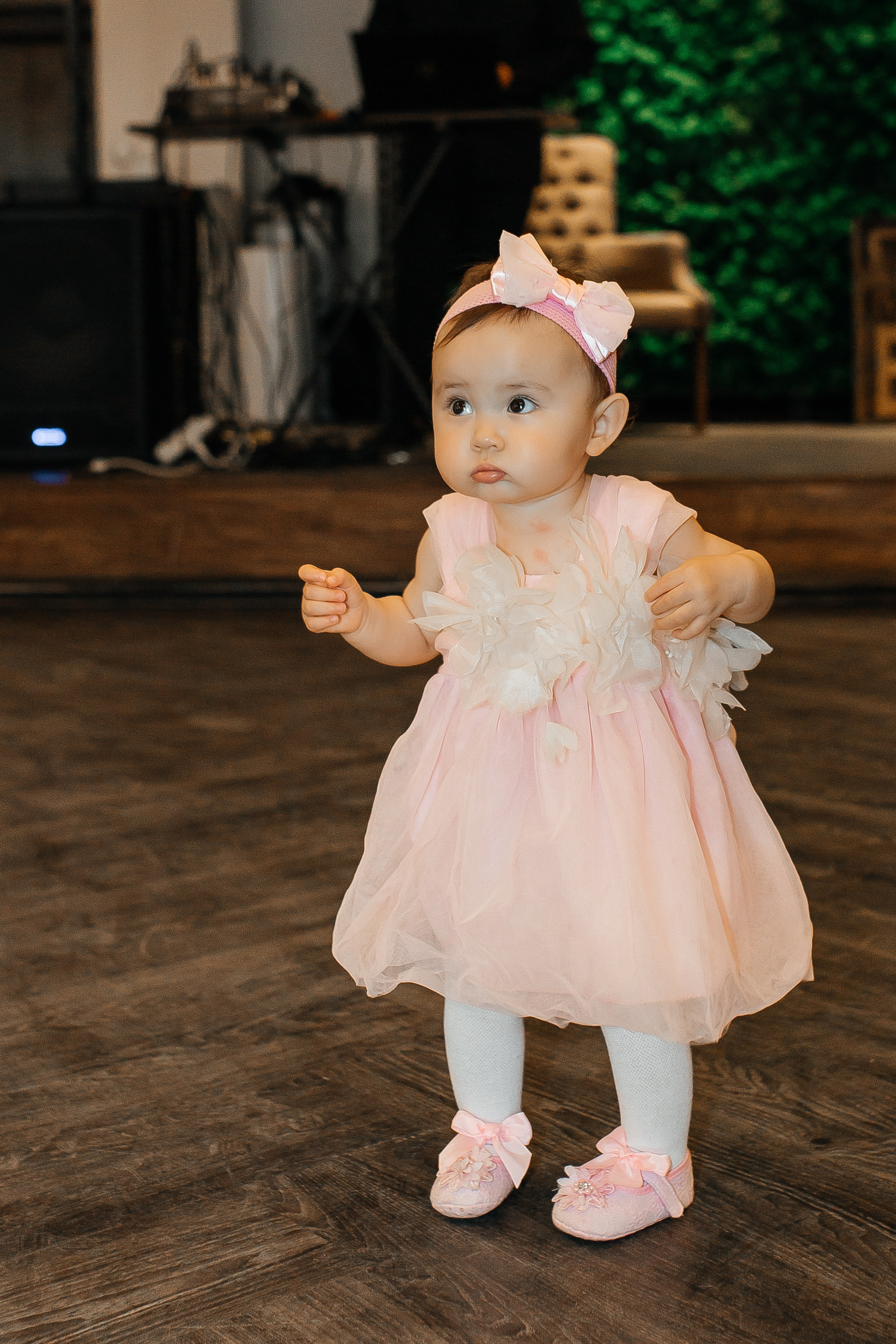 Сакуре 1 годик