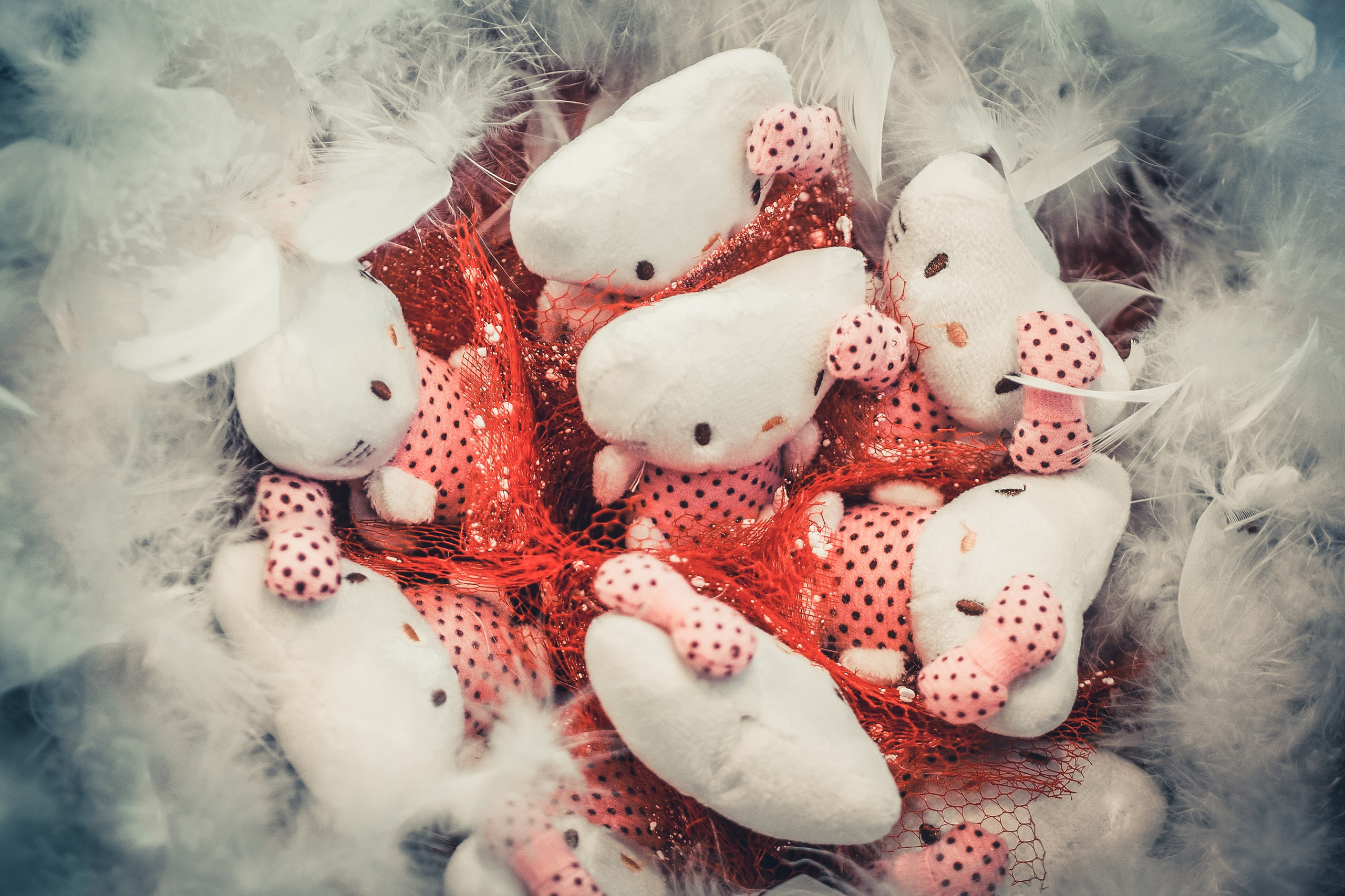 Свадьбы. Всего по-мелочи. Свадебный фотограф Копков Геннадий