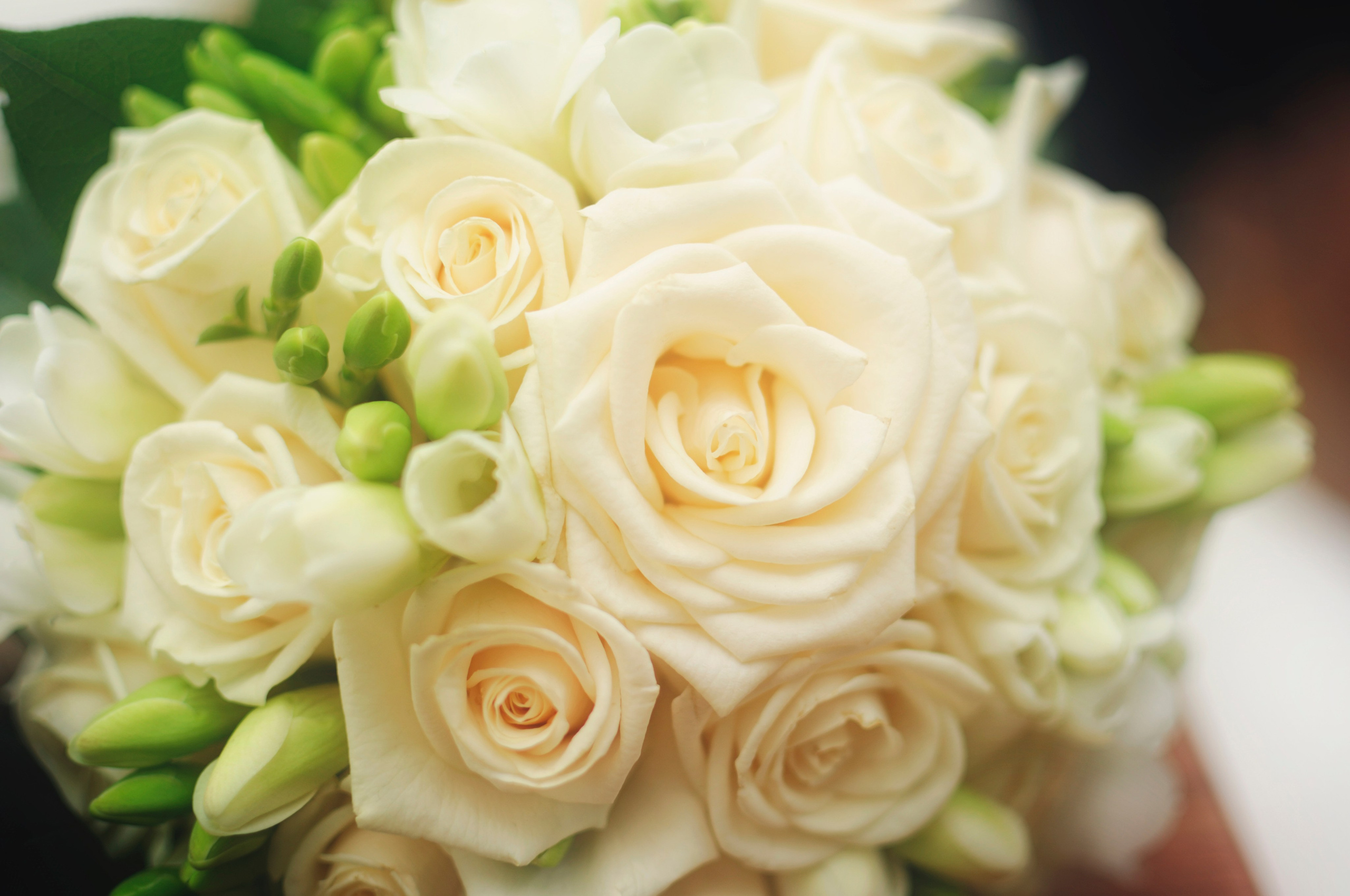 Свадьбы. Всего по-мелочи. Свадебный фотограф Копков Геннадий