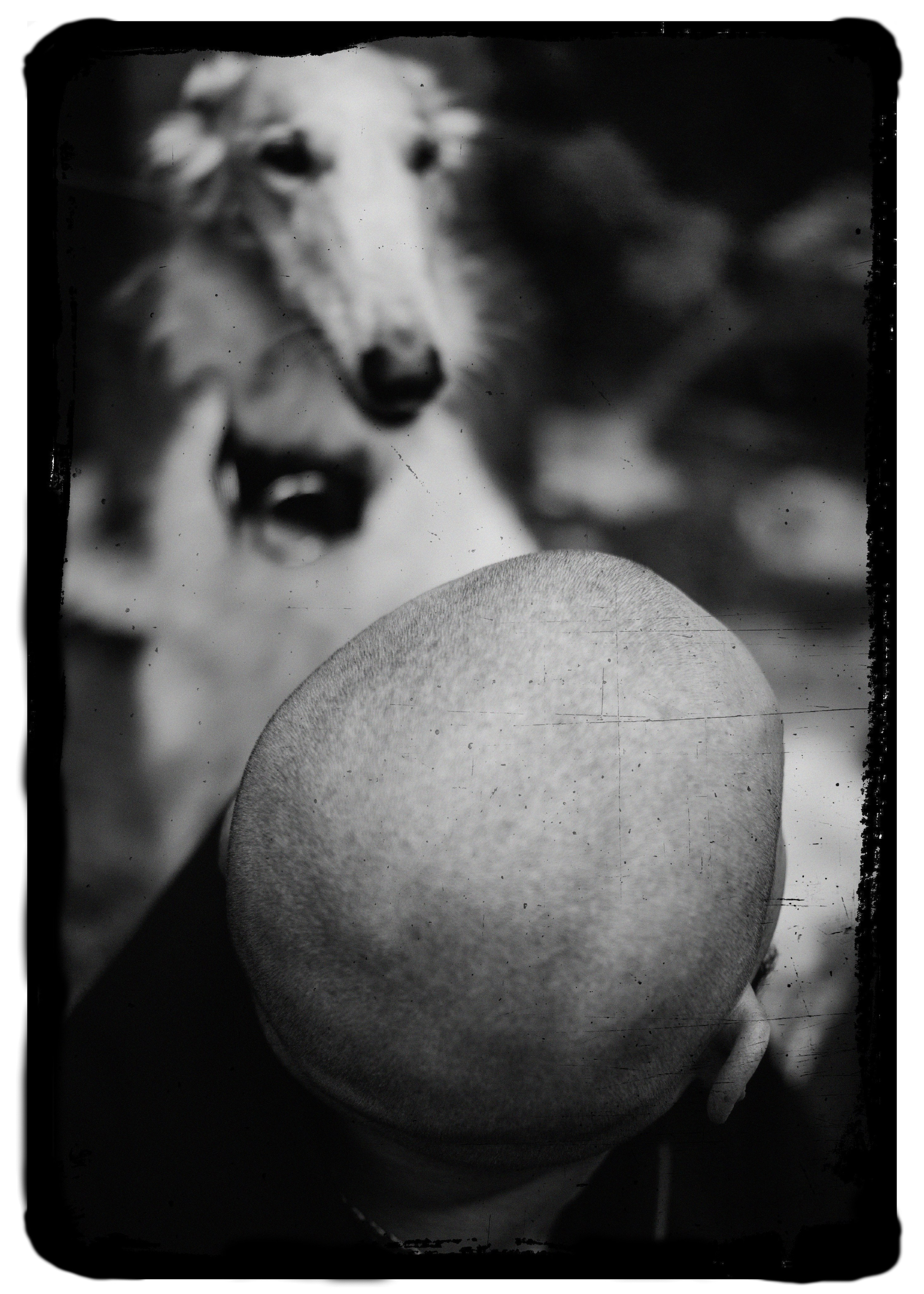 Заложник. Фотограф в Санкт-Петербурге Павел Жуков