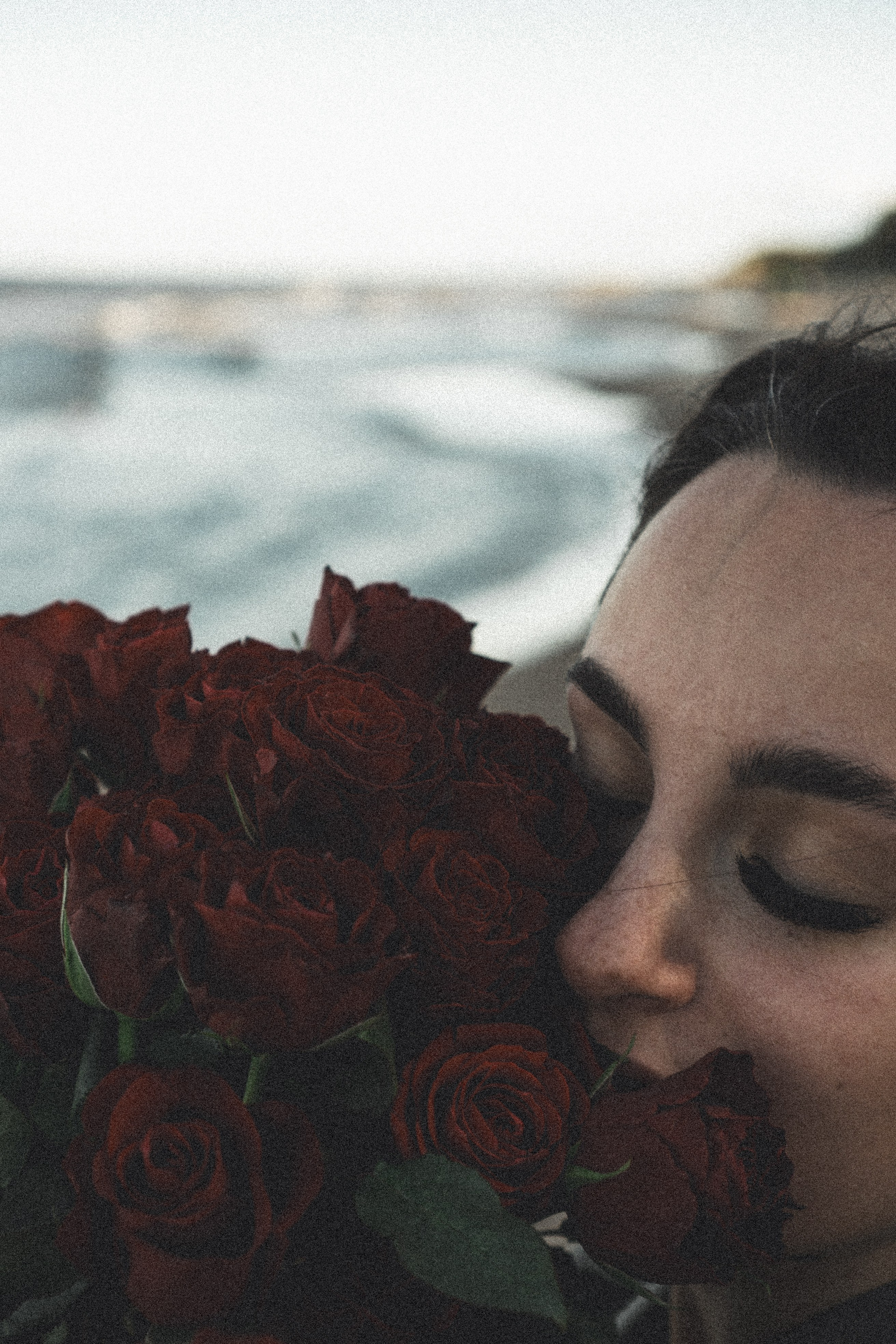 Розы. Профессиональный фотограф, Санкт-Петербург — Виктория Богомолова