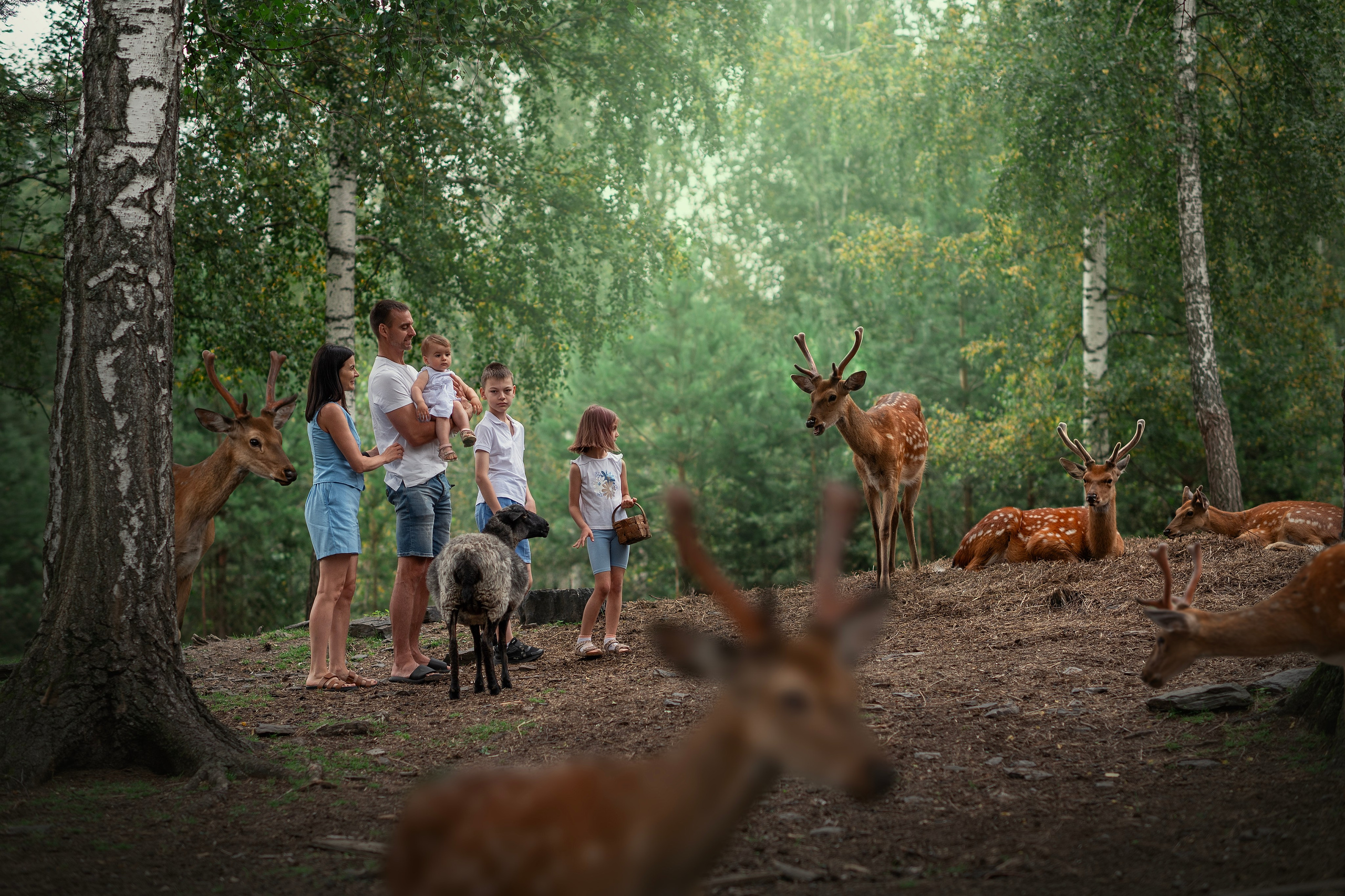 ОЛЕНИ. Семейный фотограф Екатеринбург Лора Мур