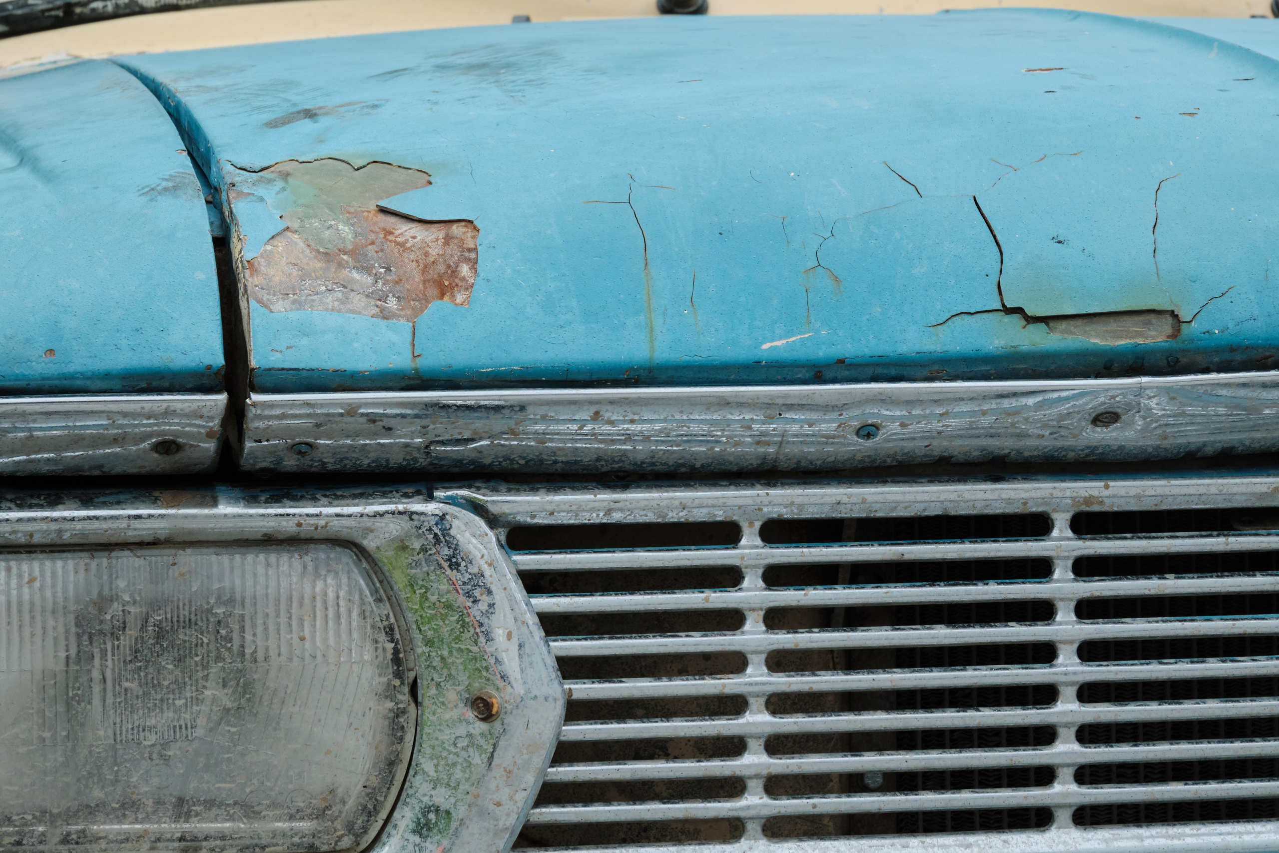 Академ-городок и ботанический сад. Goncharov Tim