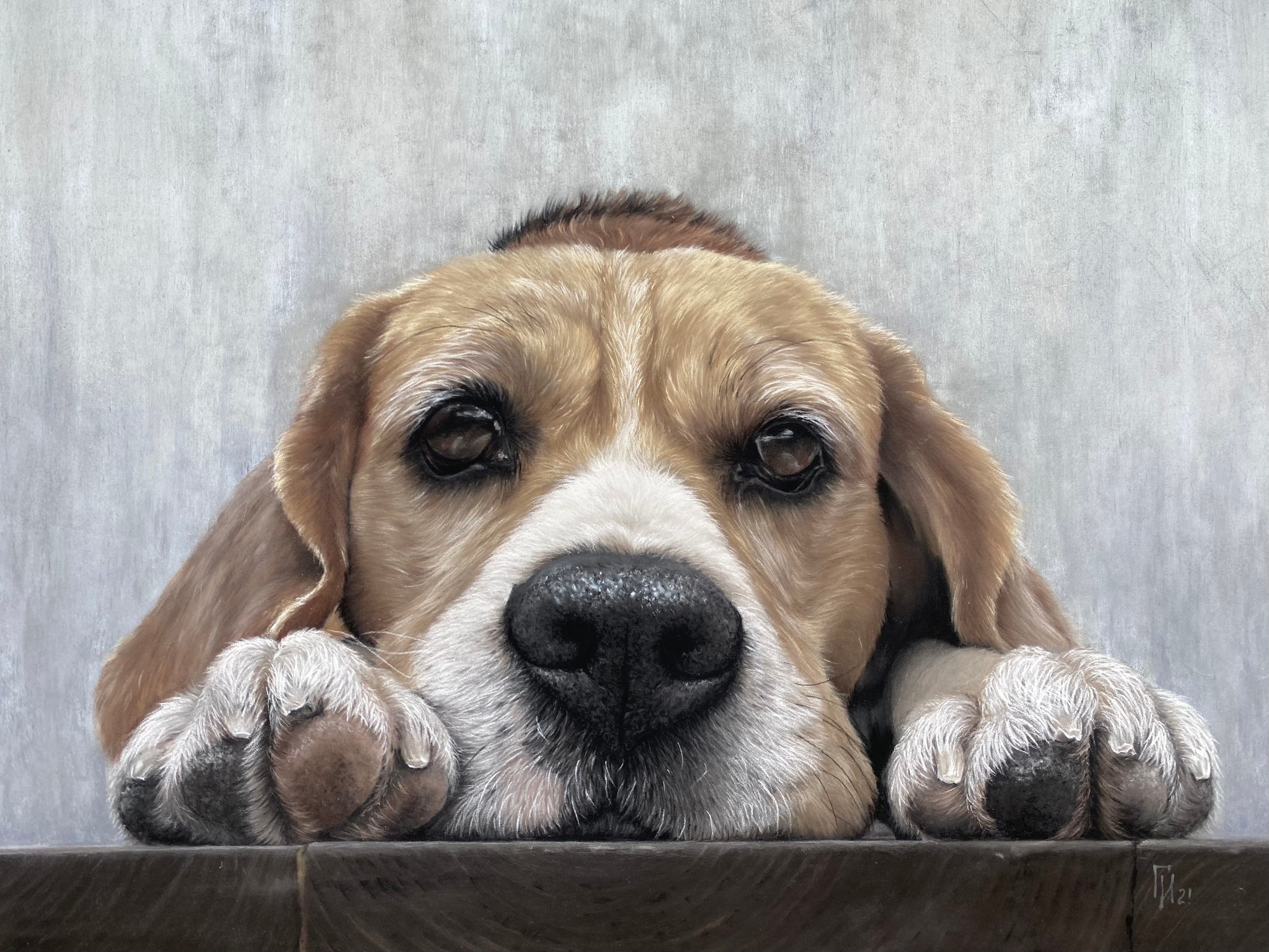 Красавец Клиф. Пастель, 40х30 см. Картина на заказ.