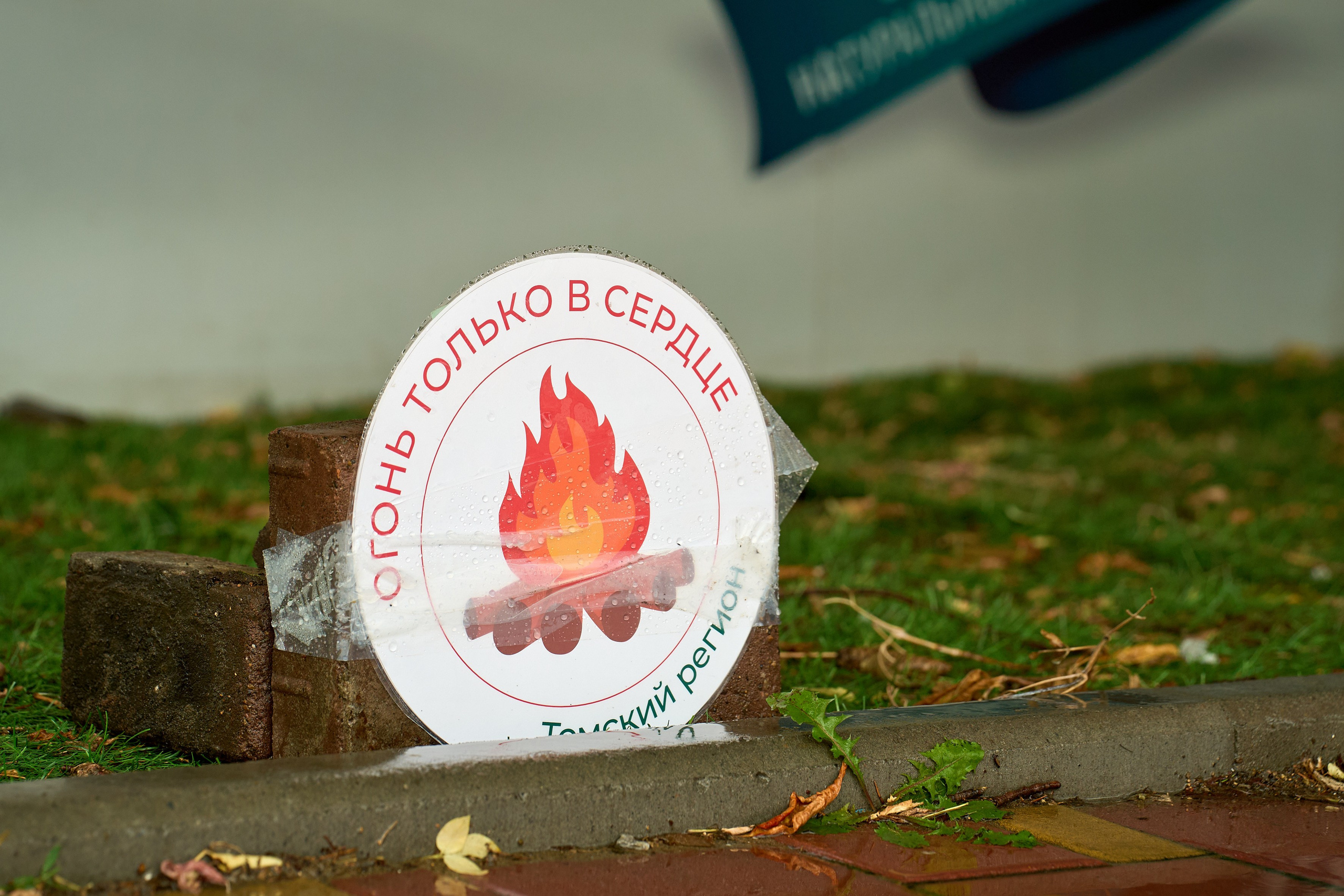 Городской фестиваль. Репортажный и портретный фотограф в Томске Ларионов Артём