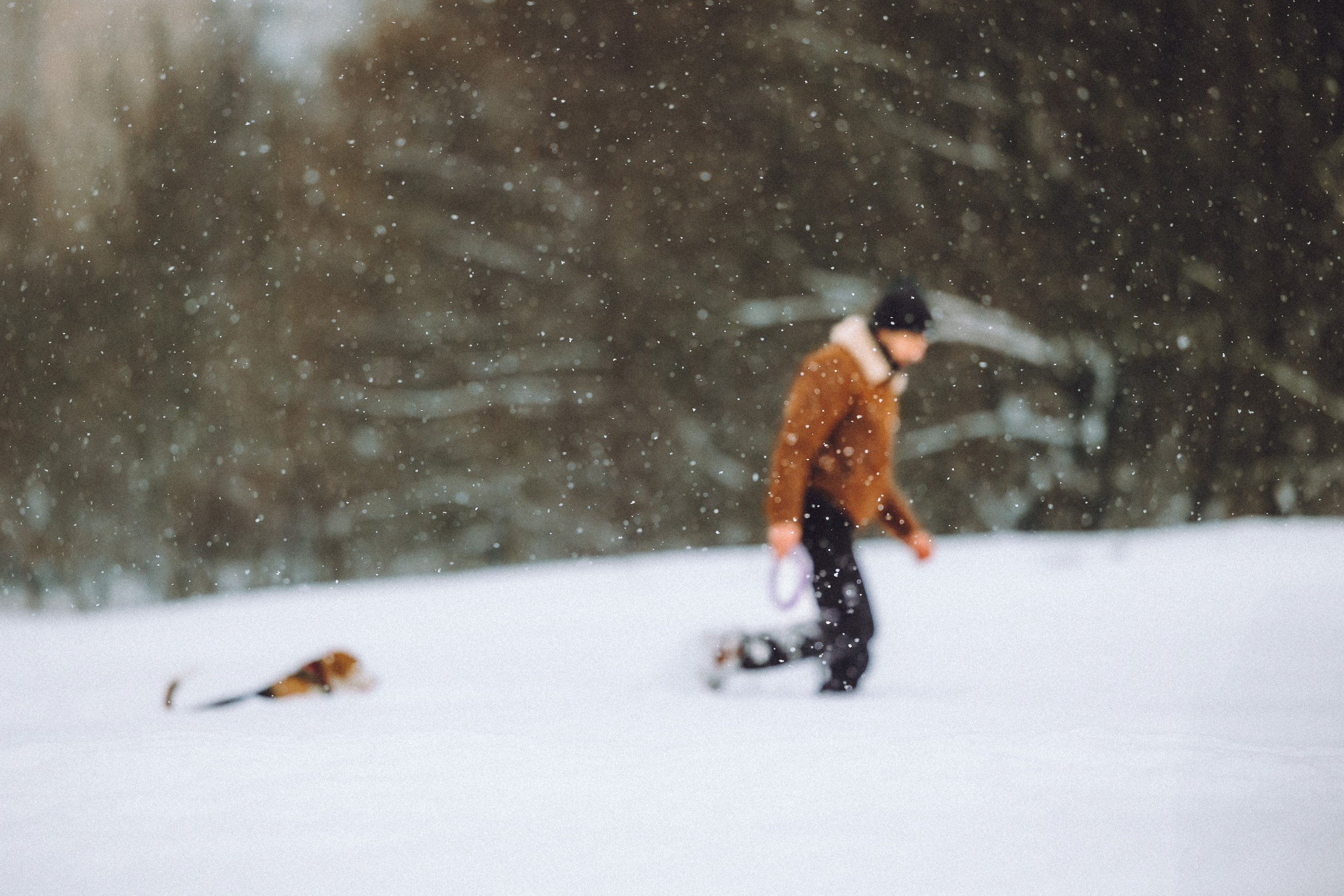 Роман, Портер и Коррес