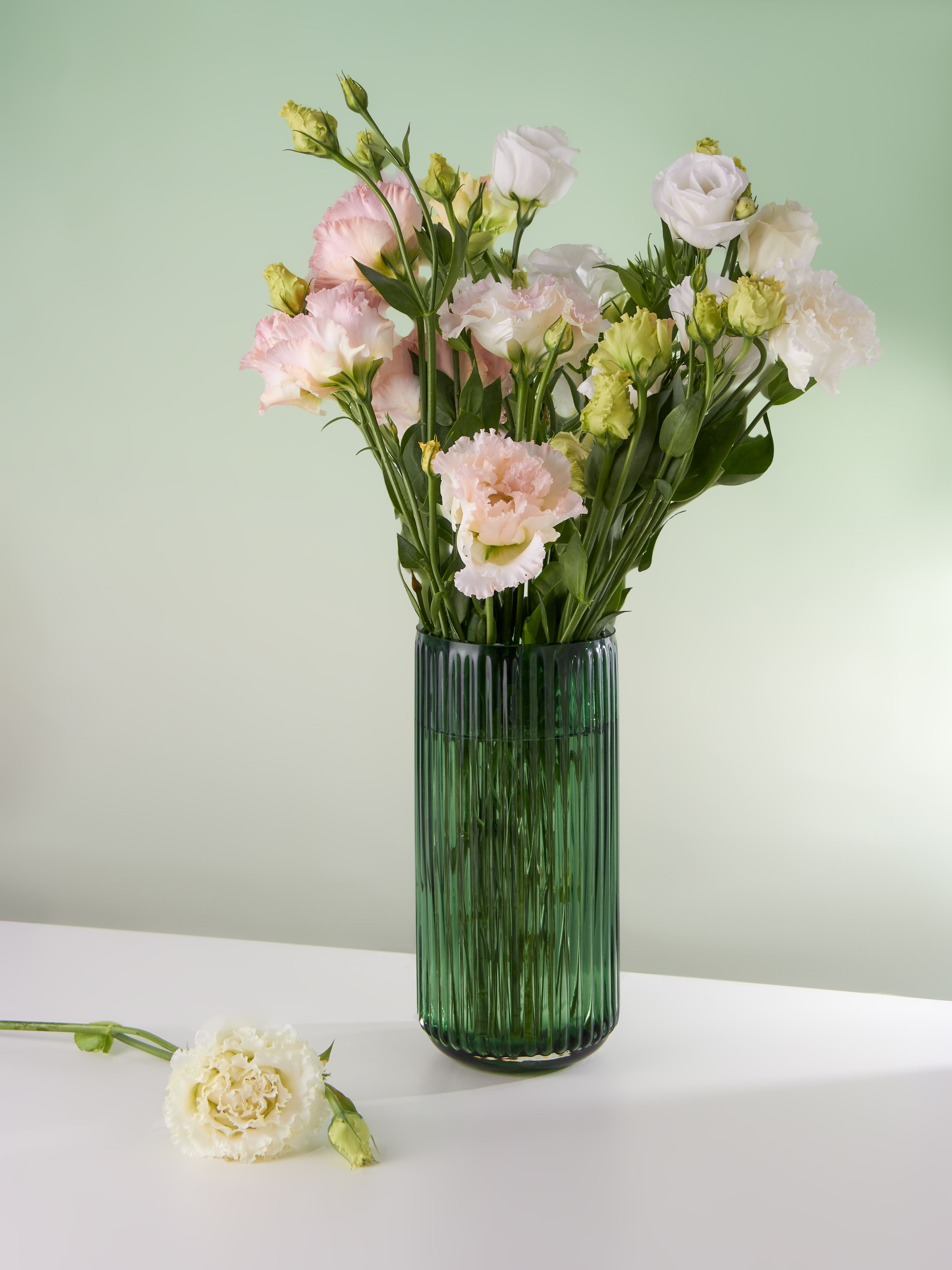 Карточка товара. Предметный фотограф \ видеограф в Санкт-Петербурге