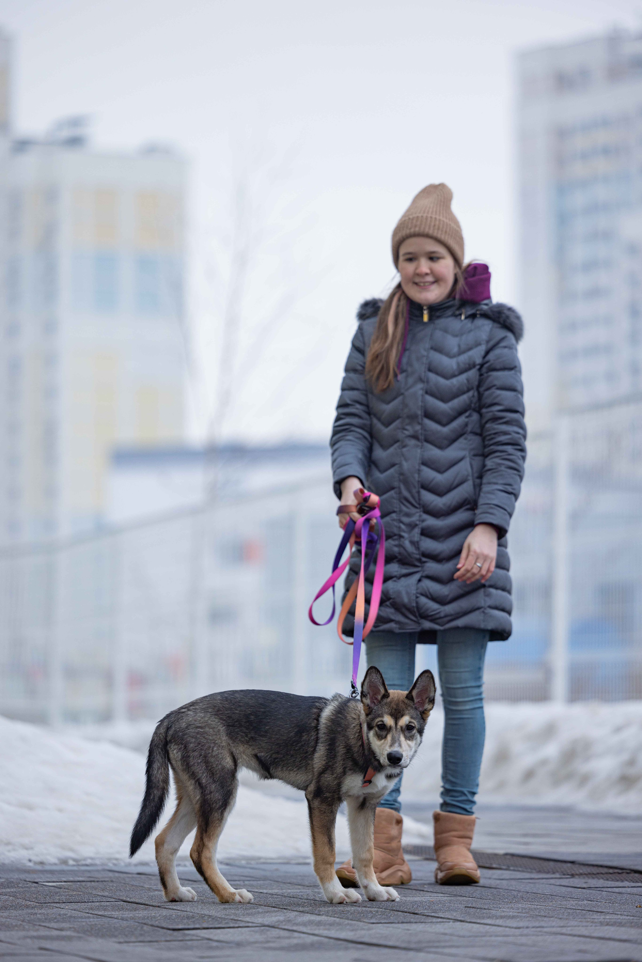 Шами. Фотограф-анималист в Москве Лера Черноног