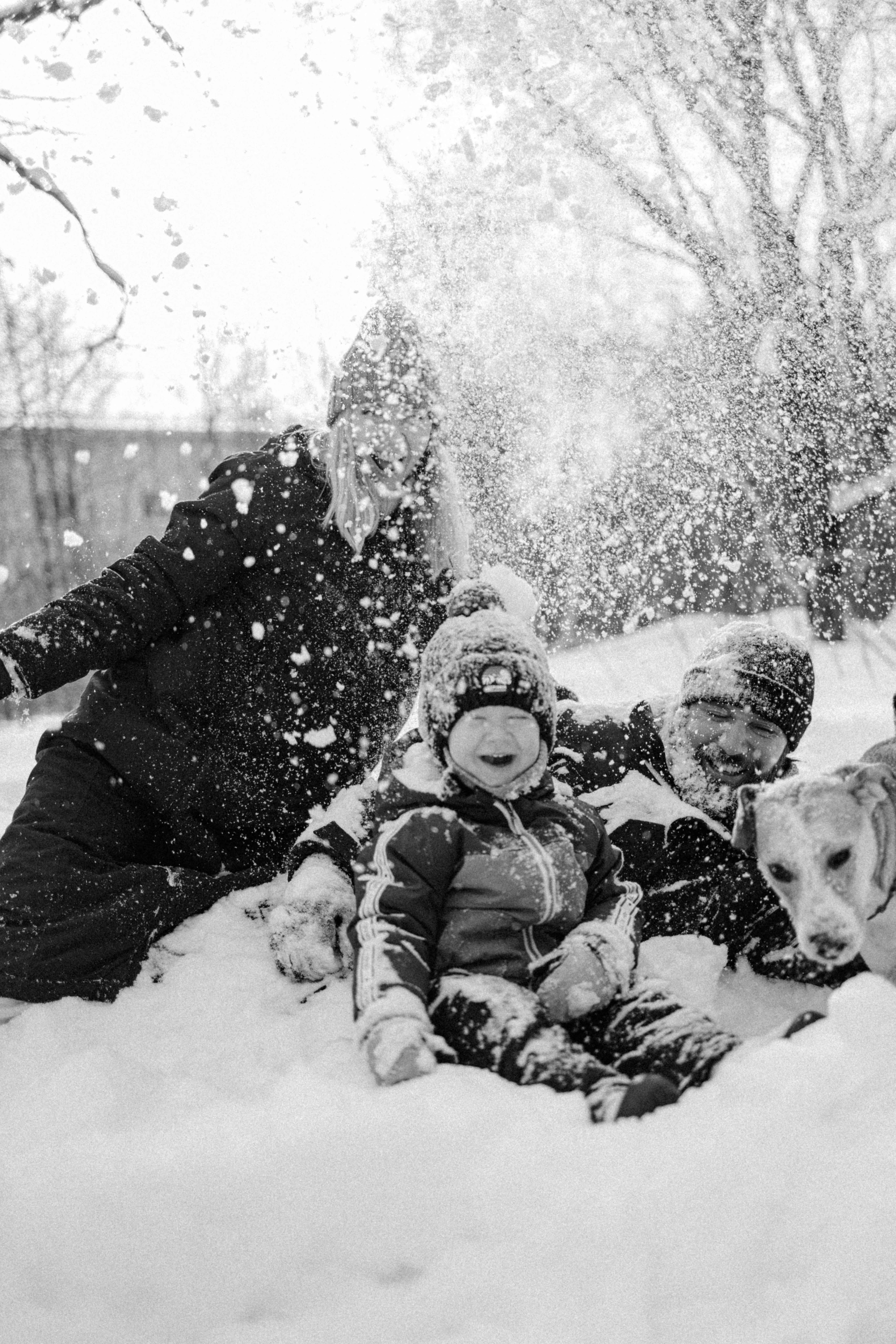 Свобода и ее семья. Фотограф-анималист в Москве Лера Черноног