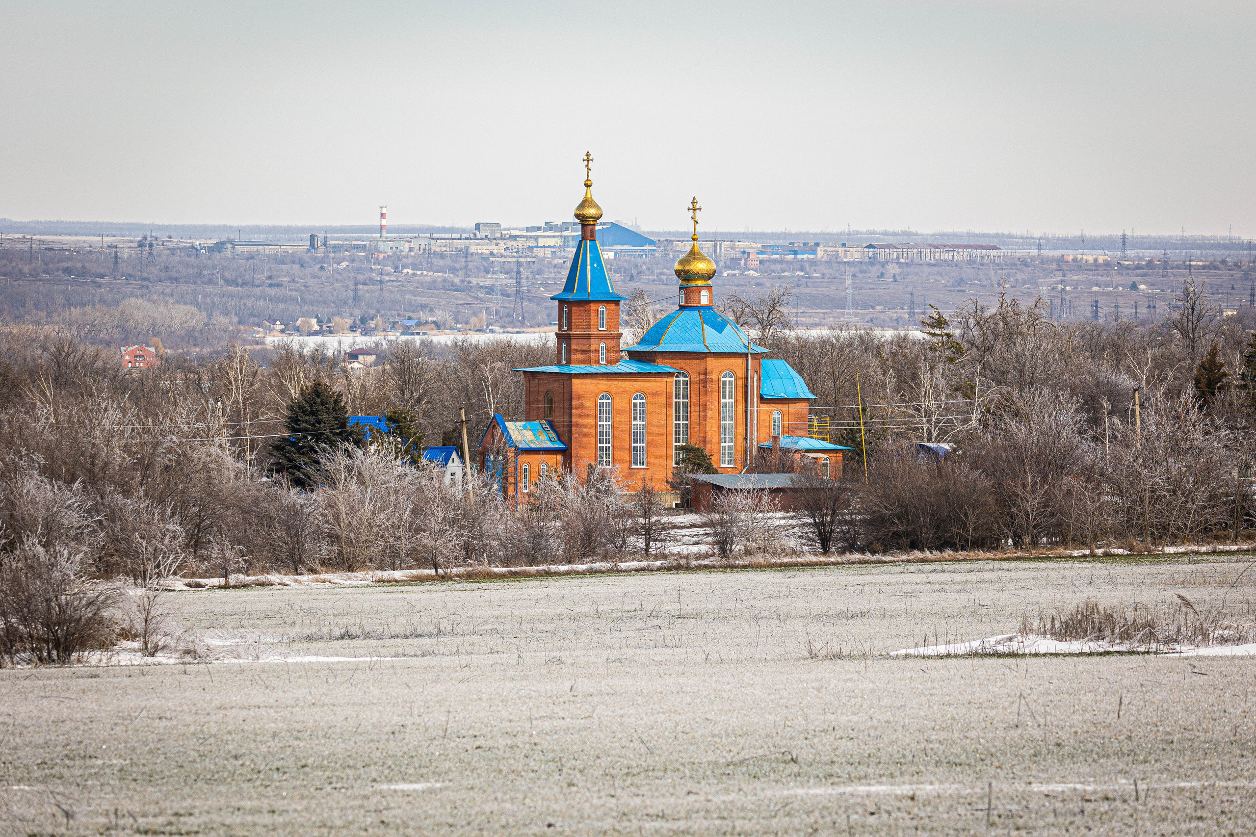 Дикий животный мир. Фотограф-АниМалист Анна Абрамова