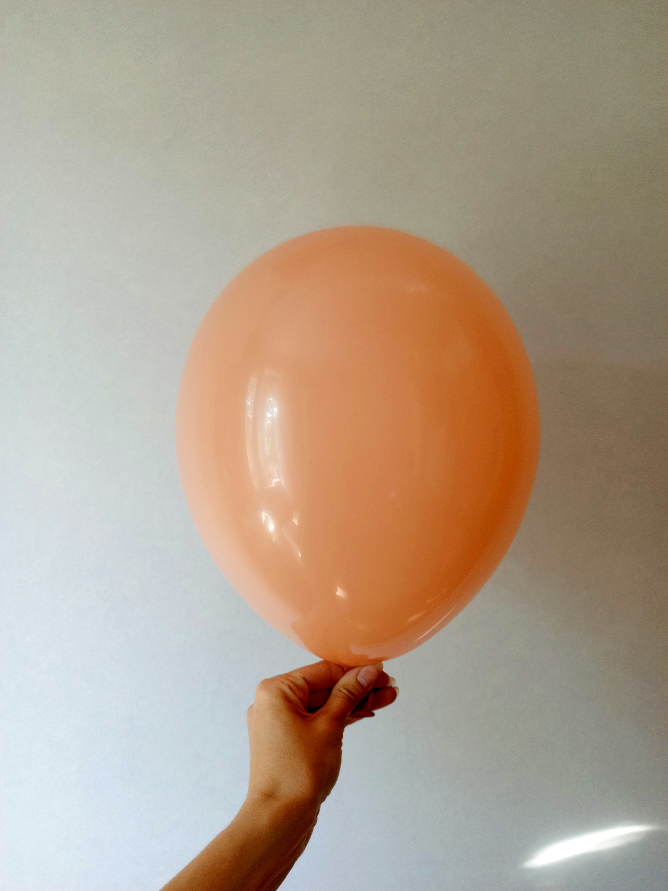 Шары без рисунка латексные. Аэродизайнер Елена Лин