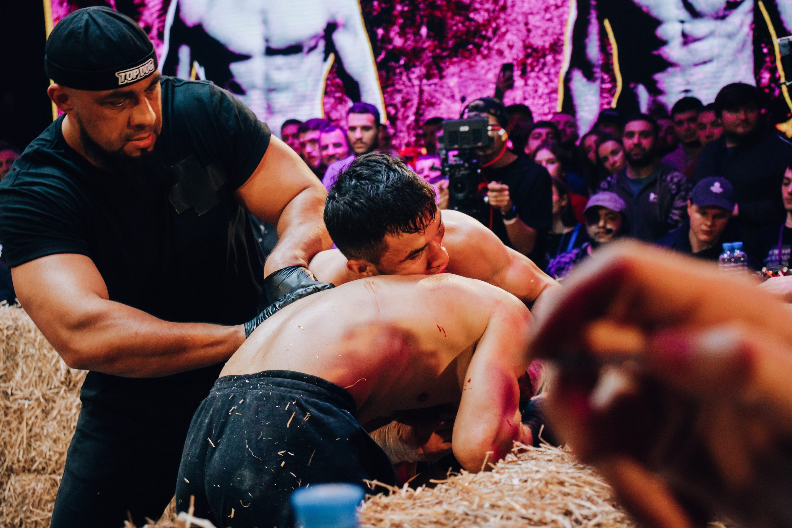 Кулачные бои TopDog. Анастасия Тен