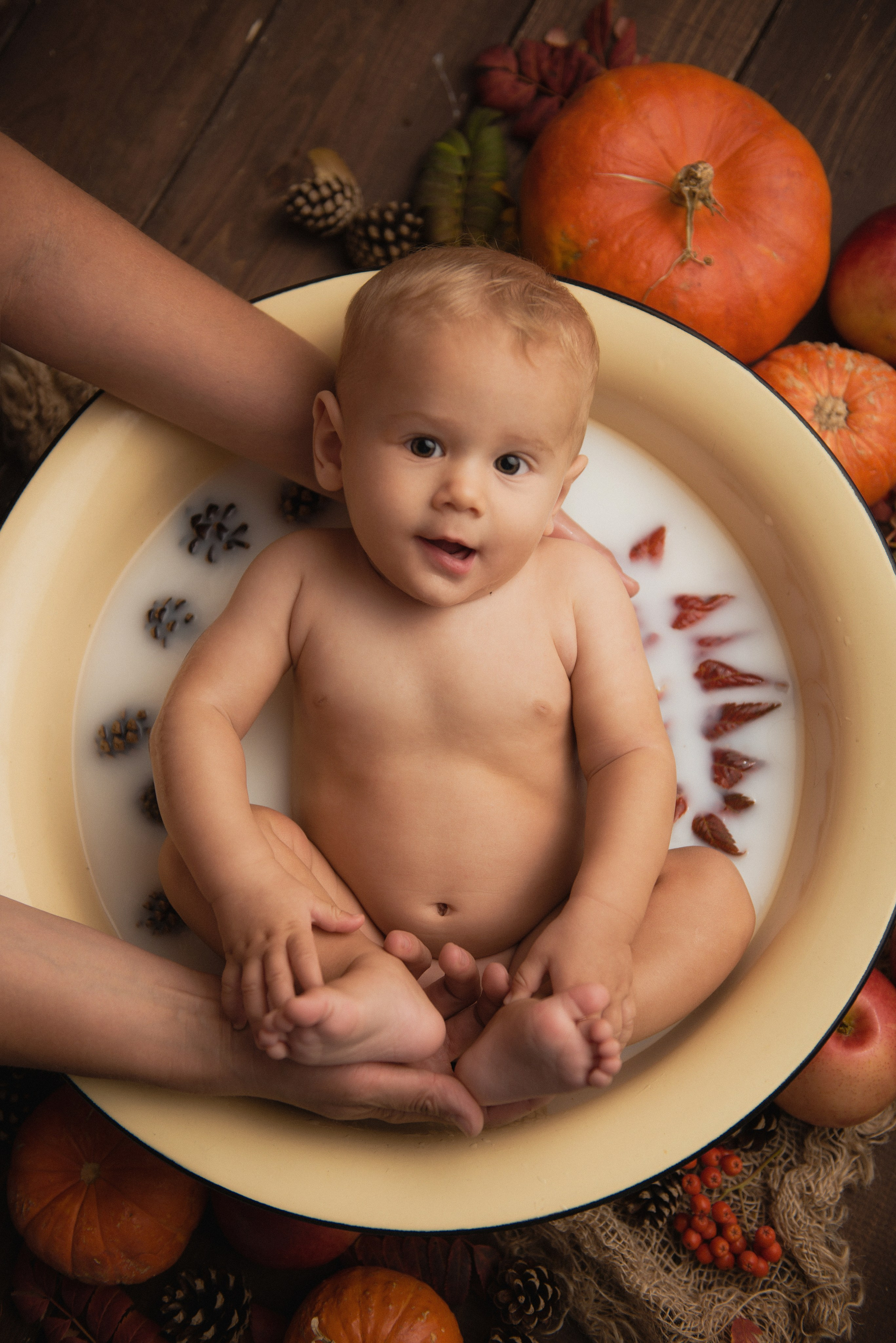 Детская фотосъемка. Фотограф беременности, новорожденных и детей до года в Челябинске Волк