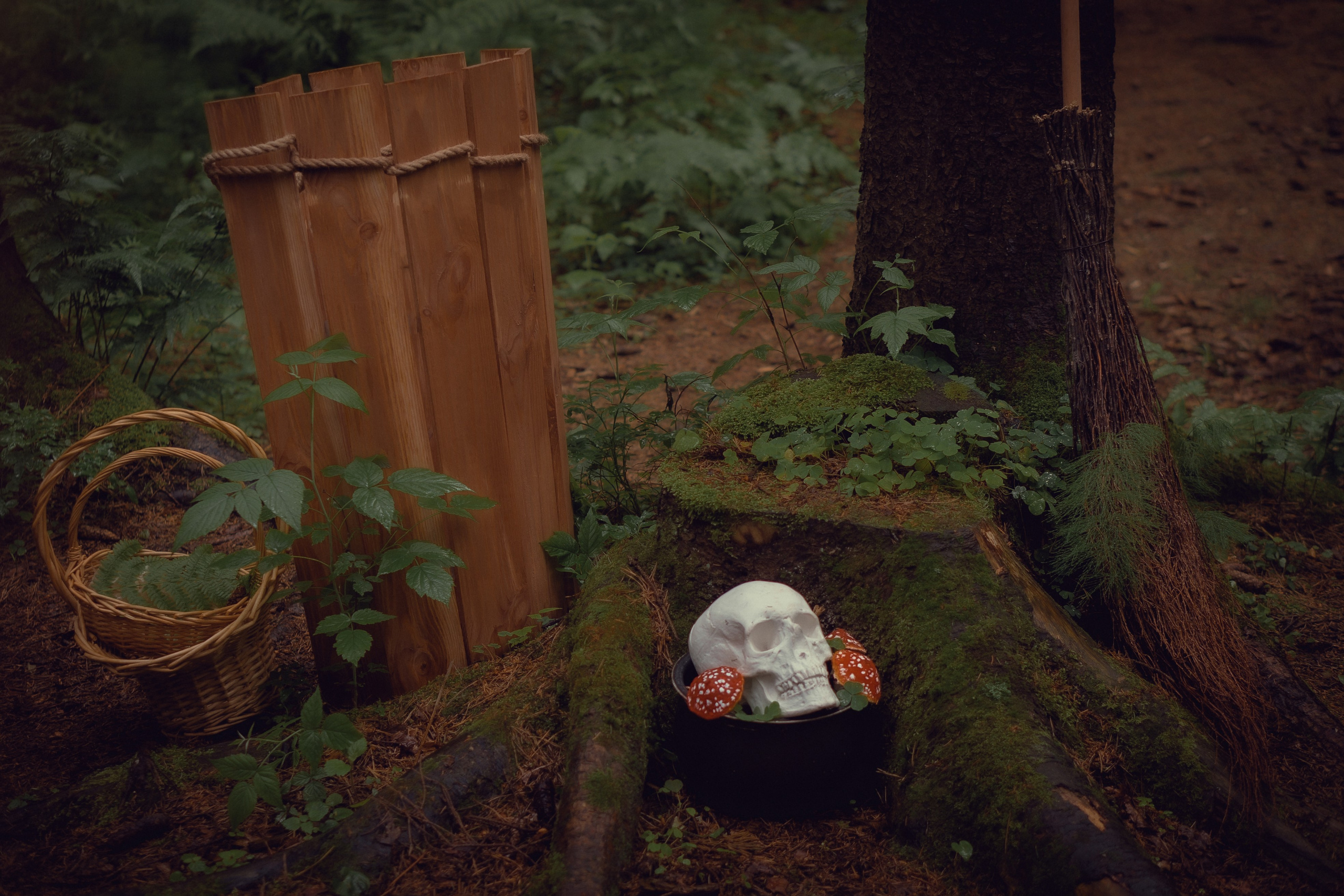 Баба-Яга. Художественный фотограф Салаева Алина