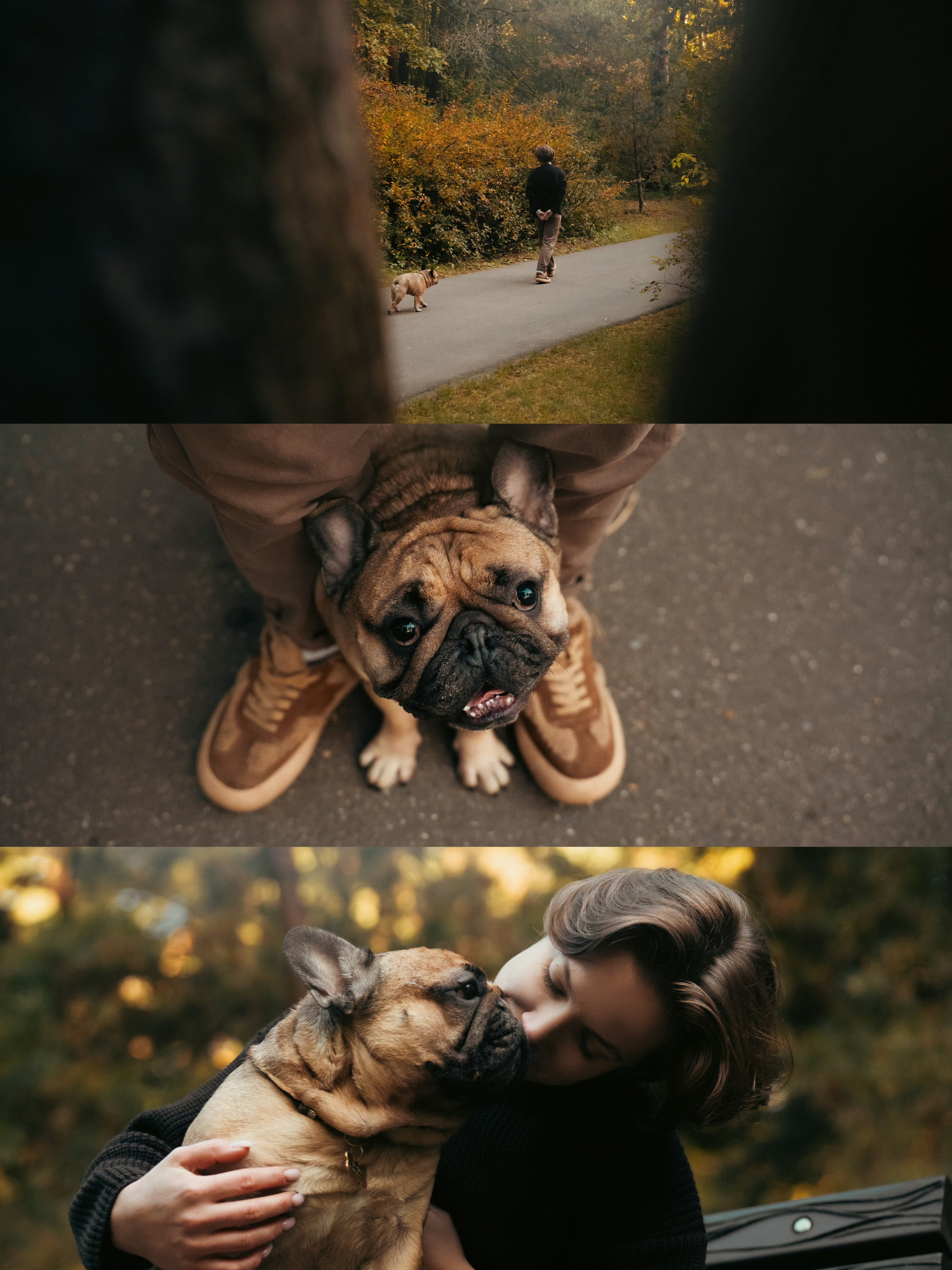 Анастасия и Бенц. Фотограф анималист в Москве и Санкт-Петербурге Свиридова Анна