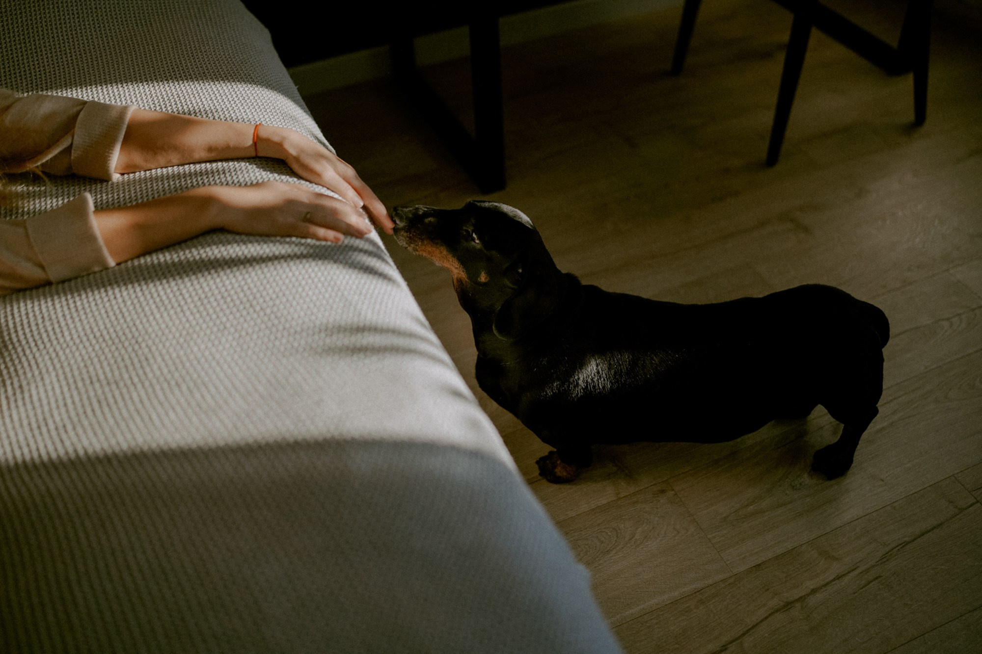 Домашняя фотосессия. Фотограф Москва — Юлия Кокова