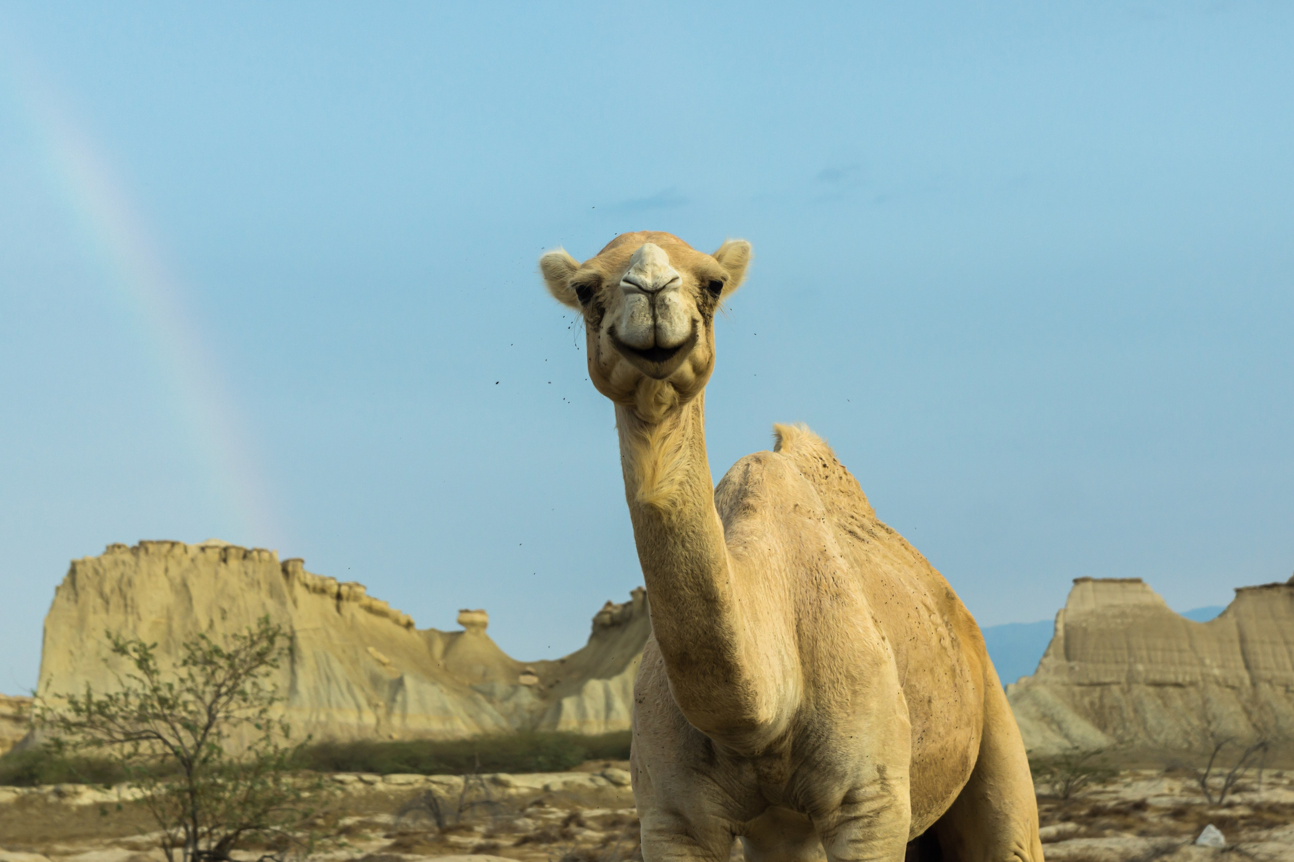 Иран. Фотограф-путешественник Самойлов Максим «Sly Fox»