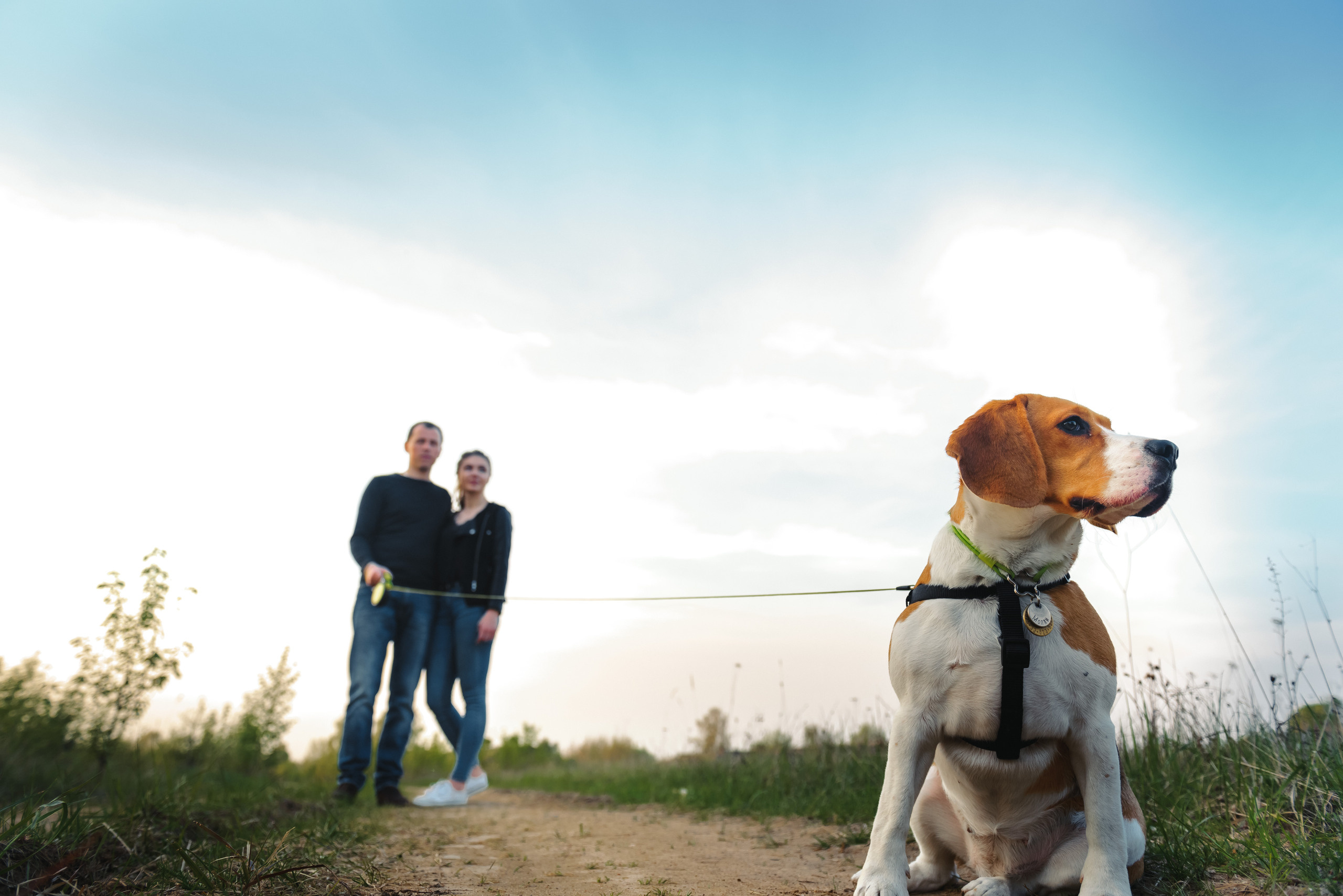 Анастасия и Андрей. Свадебный и семейный фотограф в Гродно Андрей Явейшис