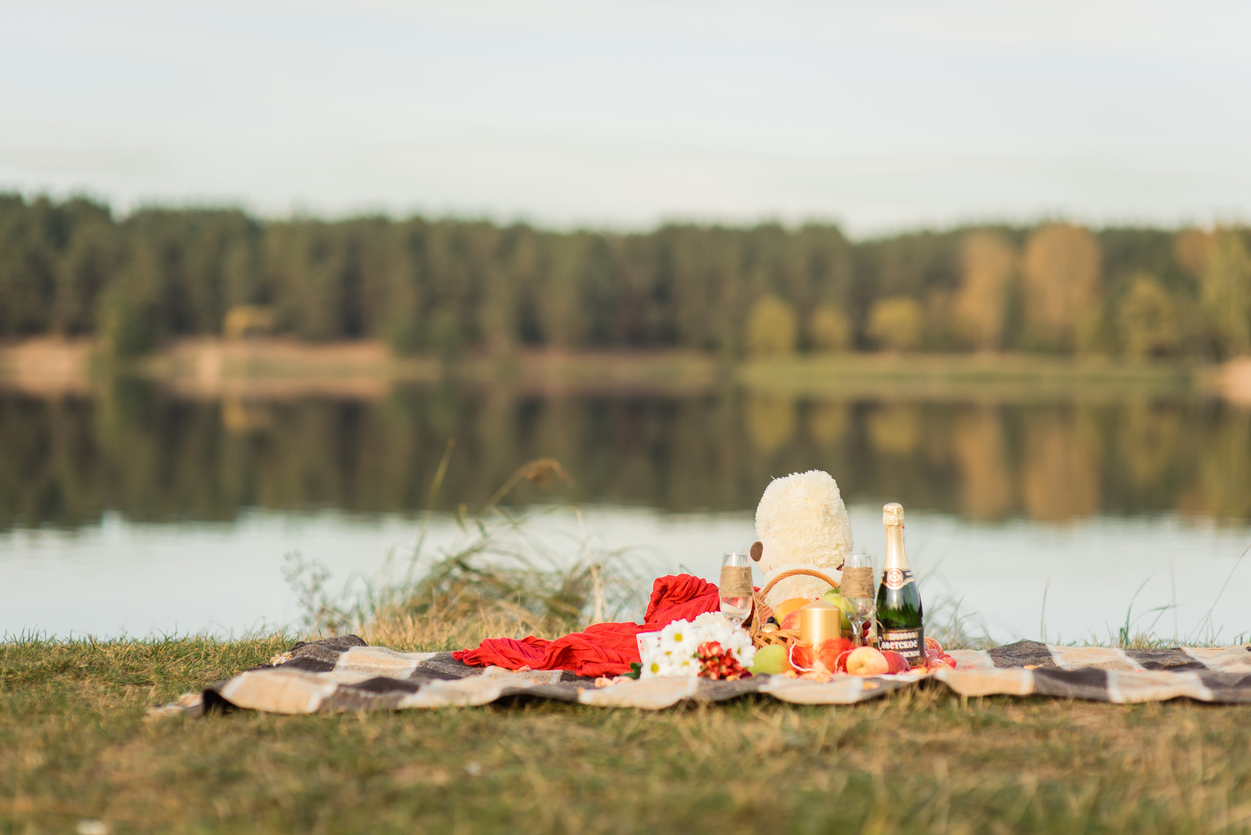 Екатерина и Константин. Свадебный и семейный фотограф в Гродно Андрей Явейшис