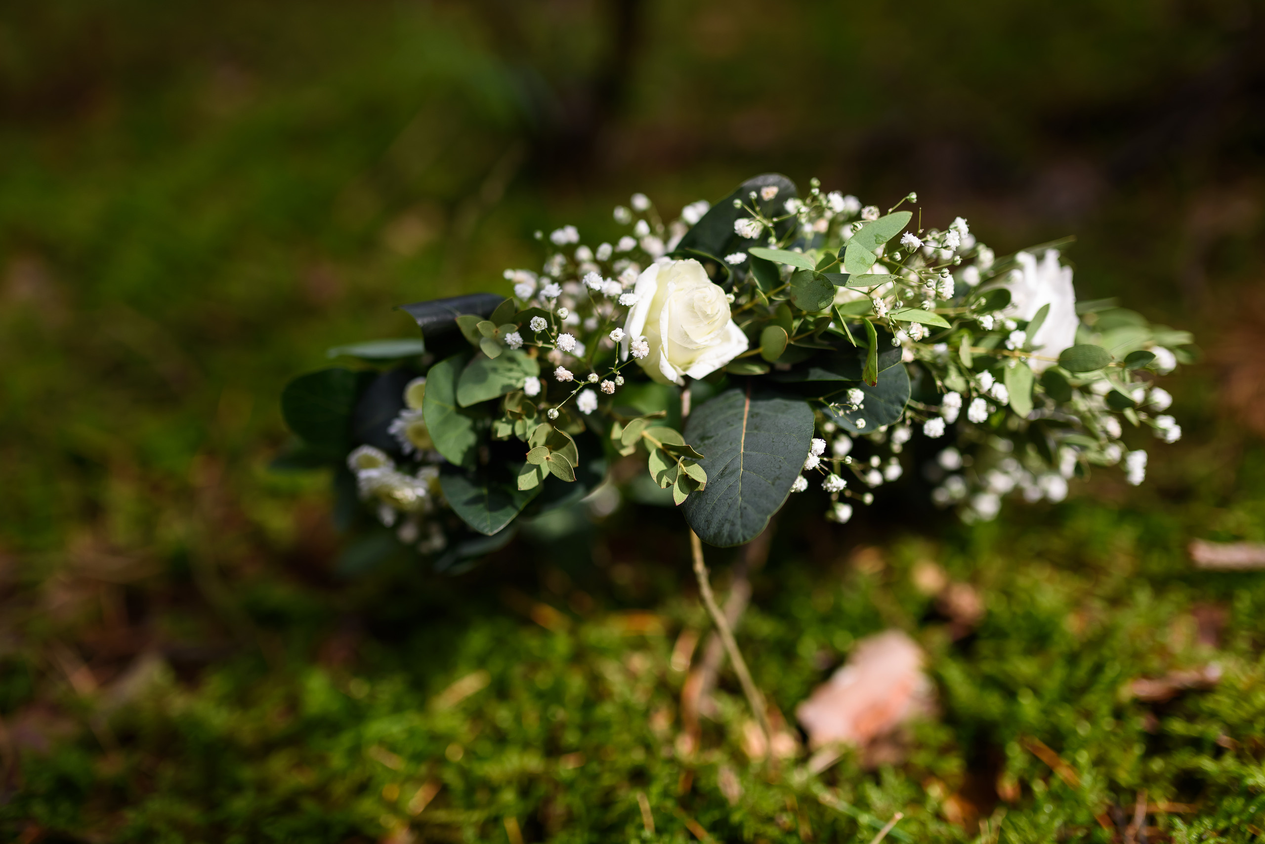 Лесная нимфа. Свадебный и семейный фотограф в Гродно Андрей Явейшис