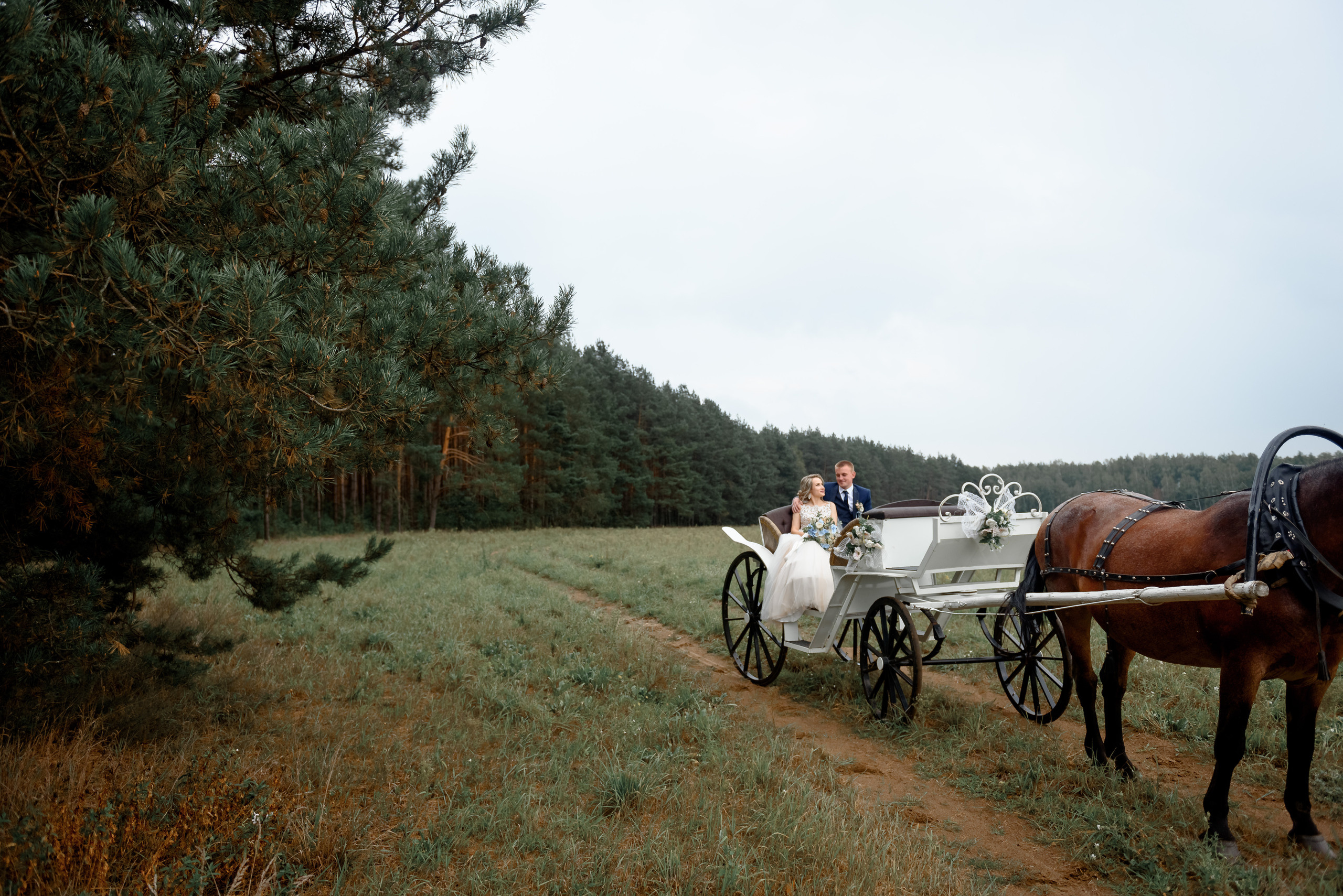 Анастасия и Евгений. Свадебный и семейный фотограф в Гродно Андрей Явейшис