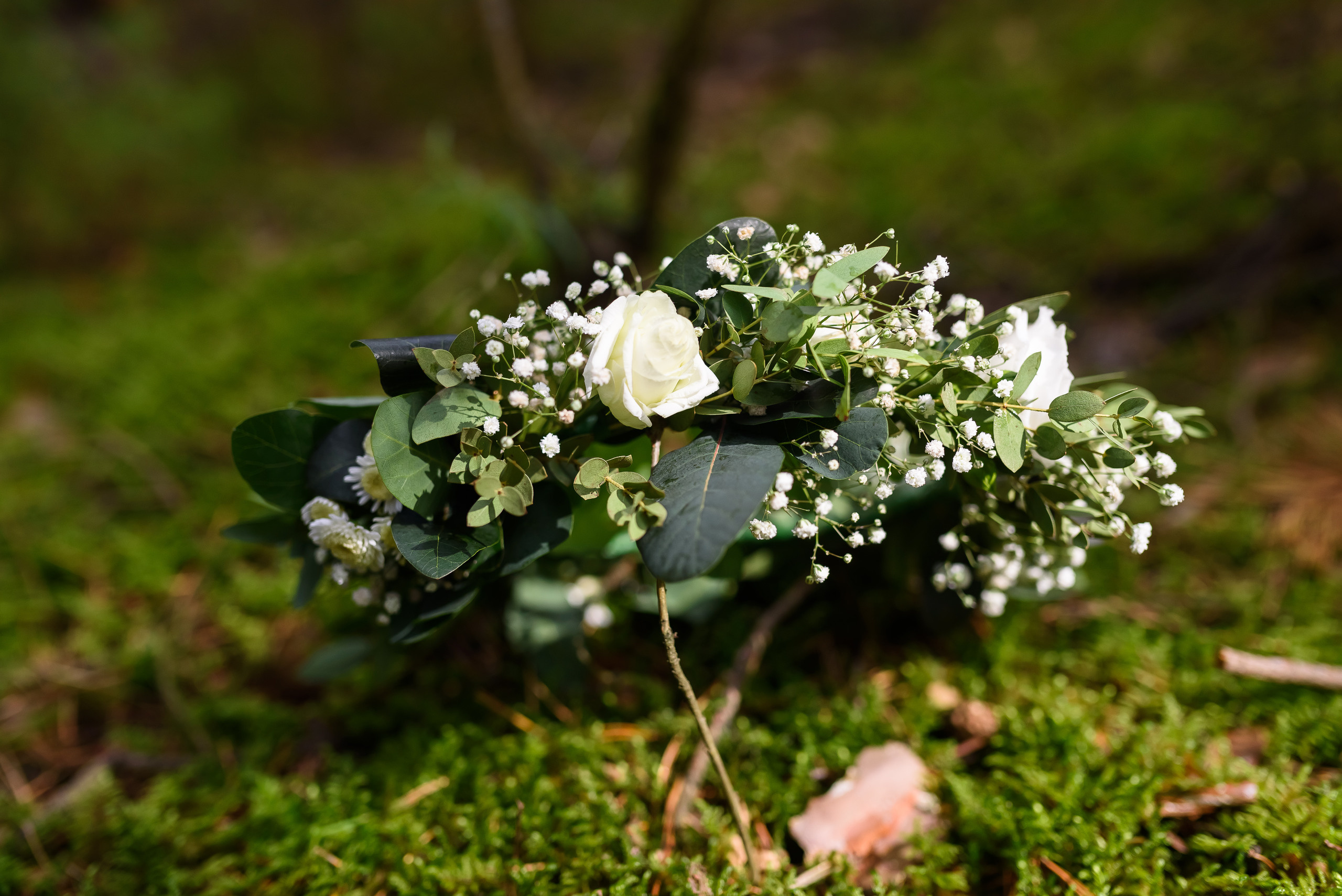Лесная нимфа. Свадебный и семейный фотограф в Гродно Андрей Явейшис