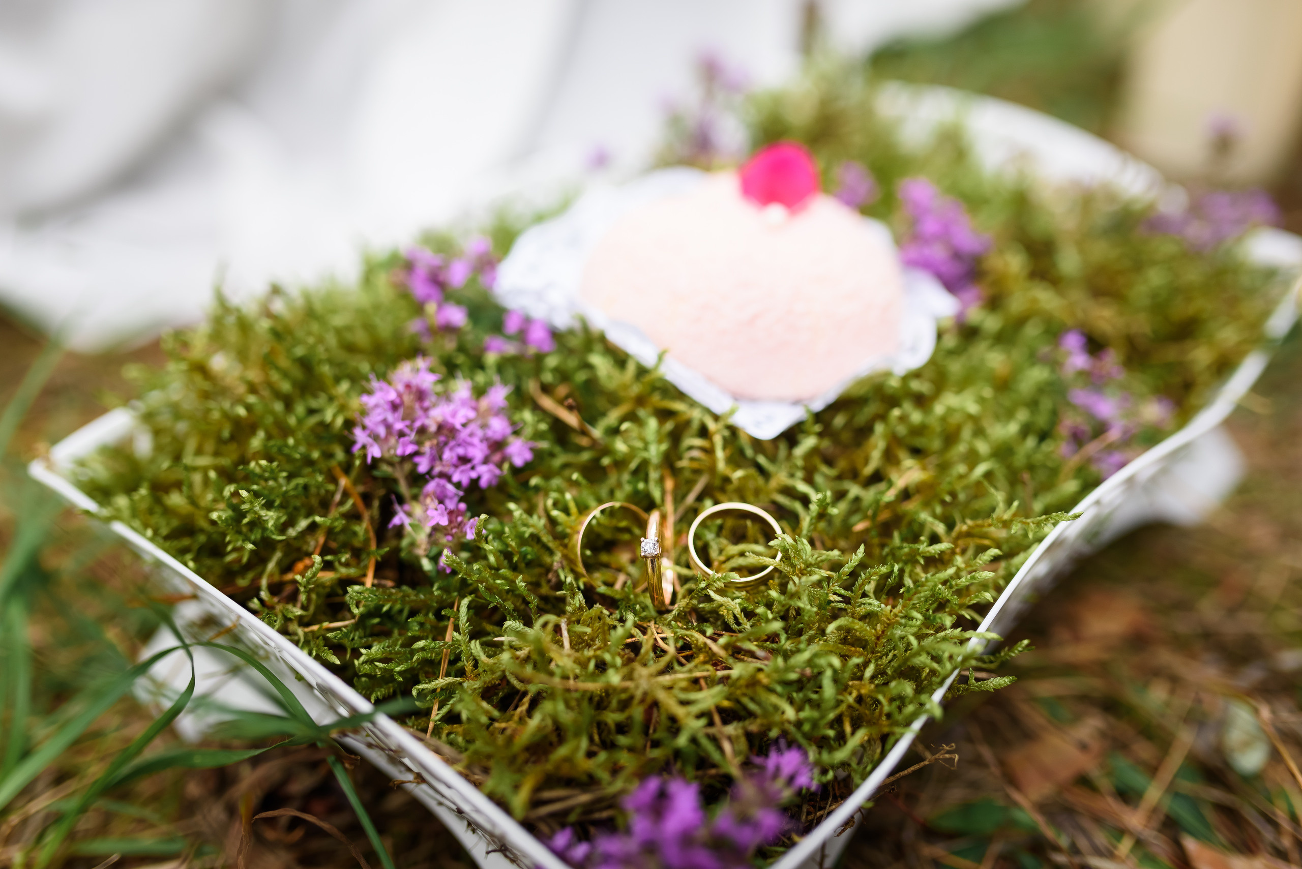 Лесная нимфа. Свадебный и семейный фотограф в Гродно Андрей Явейшис