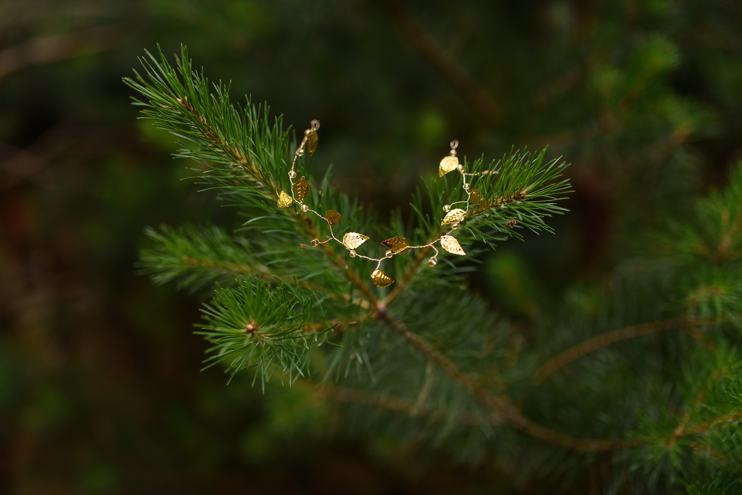 Лесная нимфа. Свадебный и семейный фотограф в Гродно Андрей Явейшис