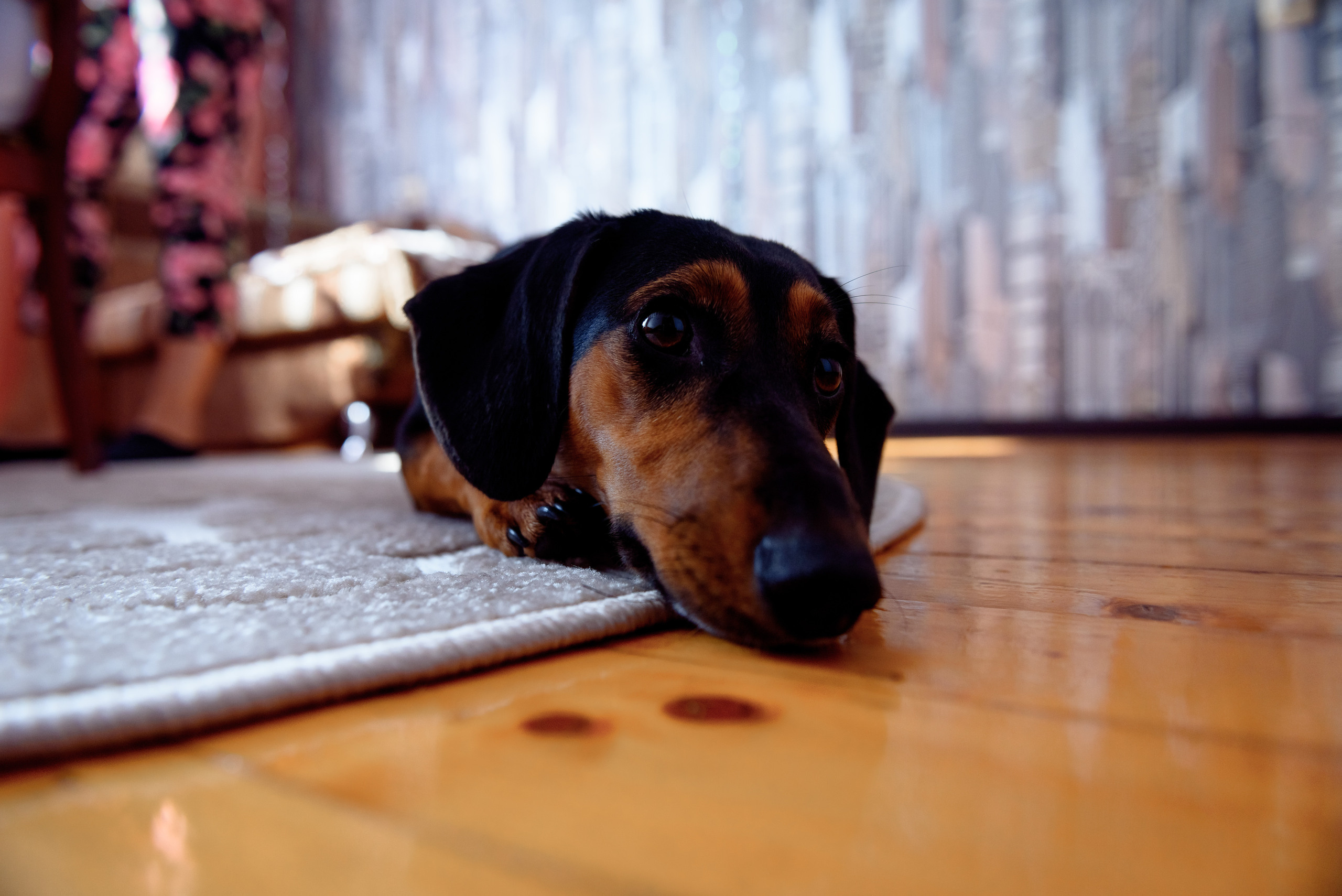 Анастасия и Евгений. Свадебный и семейный фотограф в Гродно Андрей Явейшис