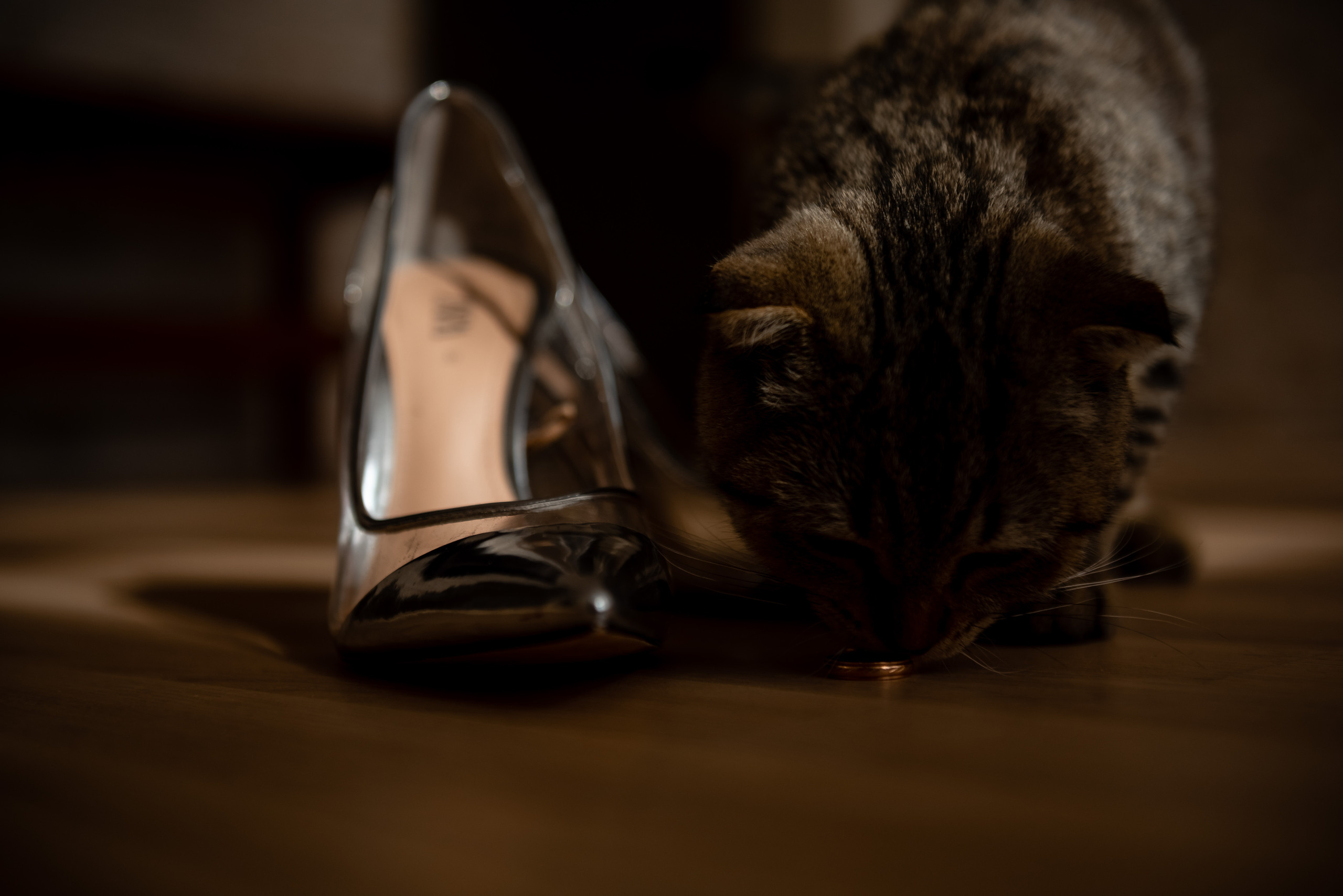 Клятва. Свадебный и семейный фотограф в Гродно Андрей Явейшис