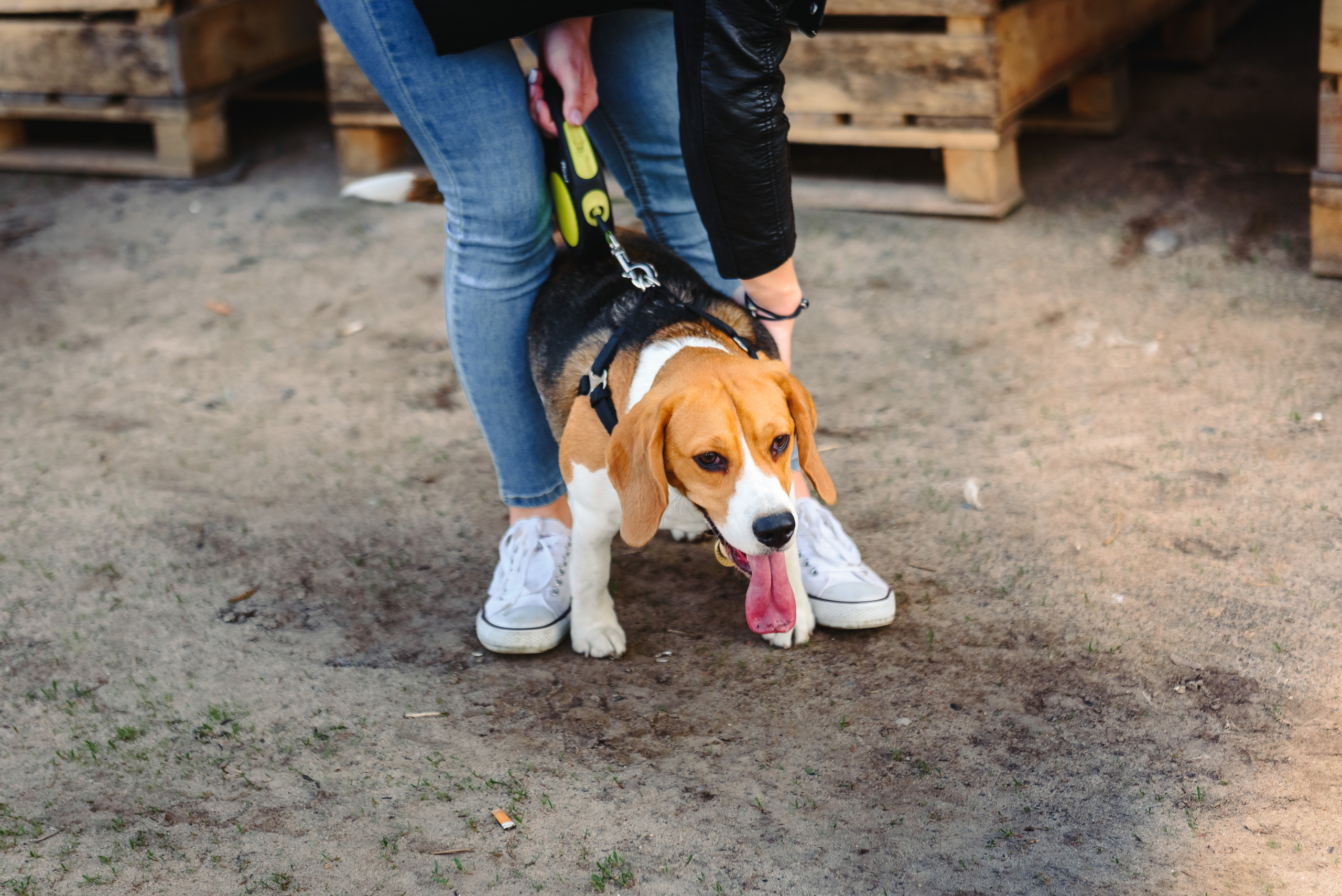 Анастасия и Андрей. Свадебный и семейный фотограф в Гродно Андрей Явейшис