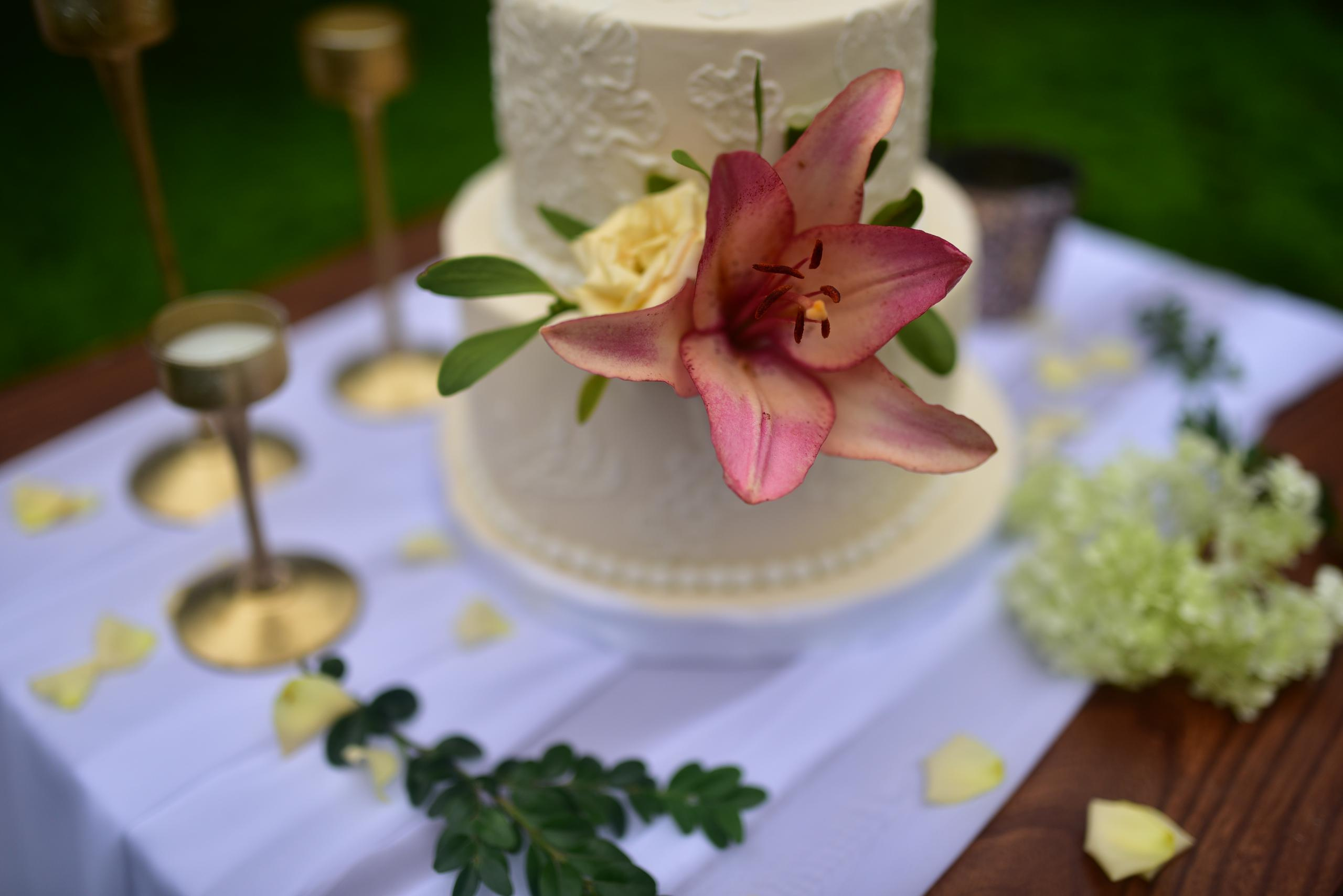 Усадьба. Свадебный и семейный фотограф в Гродно Андрей Явейшис