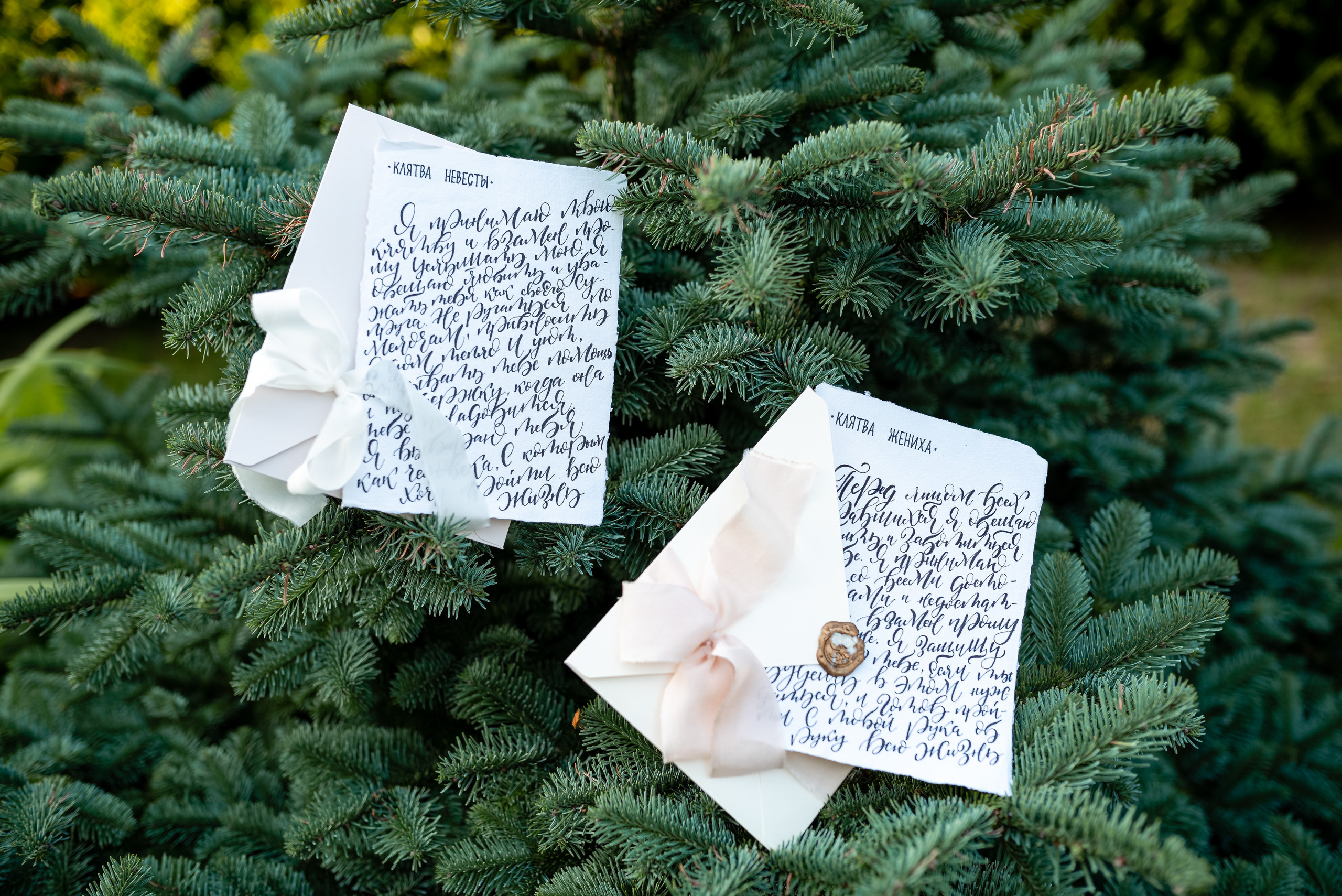 Клятва. Свадебный и семейный фотограф в Гродно Андрей Явейшис