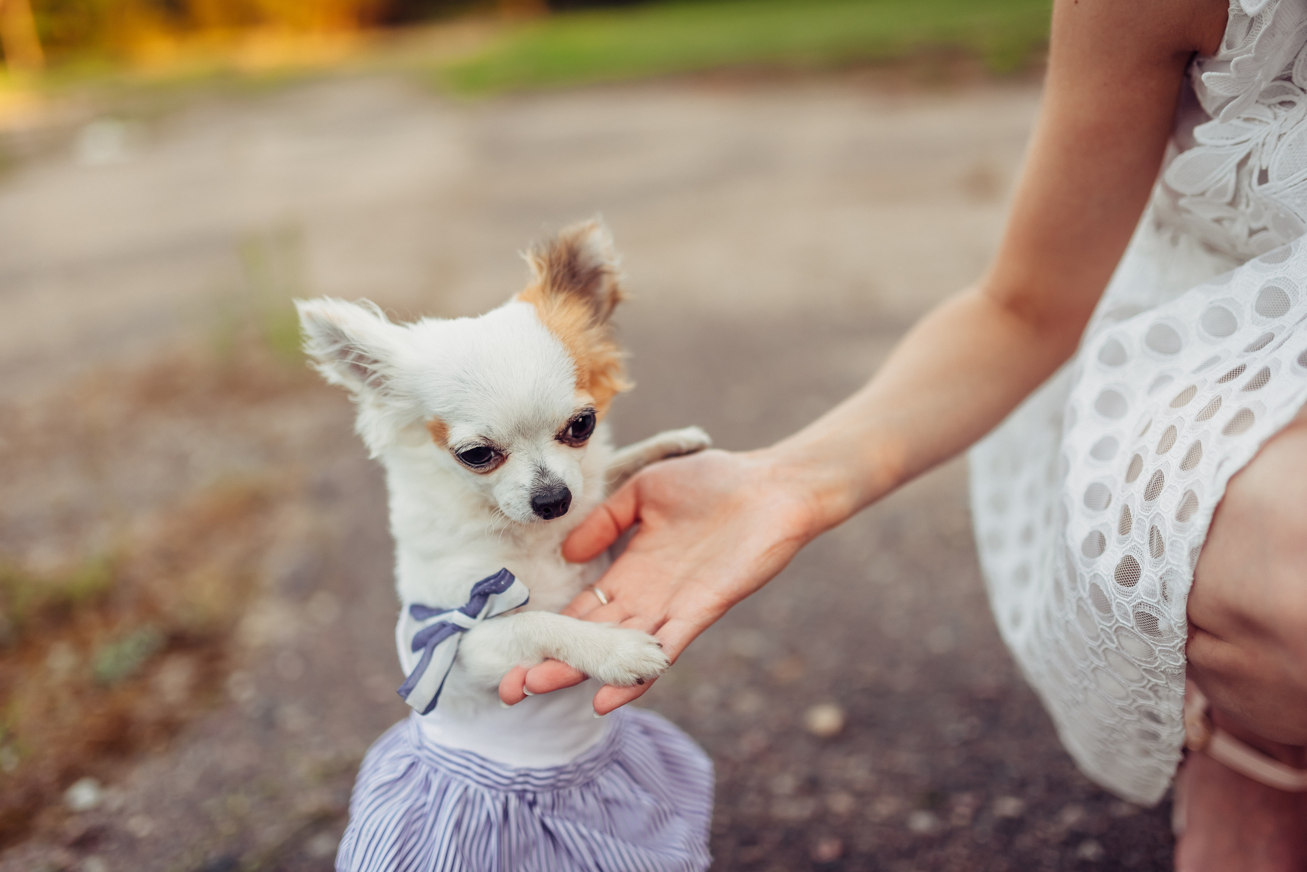 Маргарита и Олег. Свадебный и семейный фотограф в Гродно Андрей Явейшис