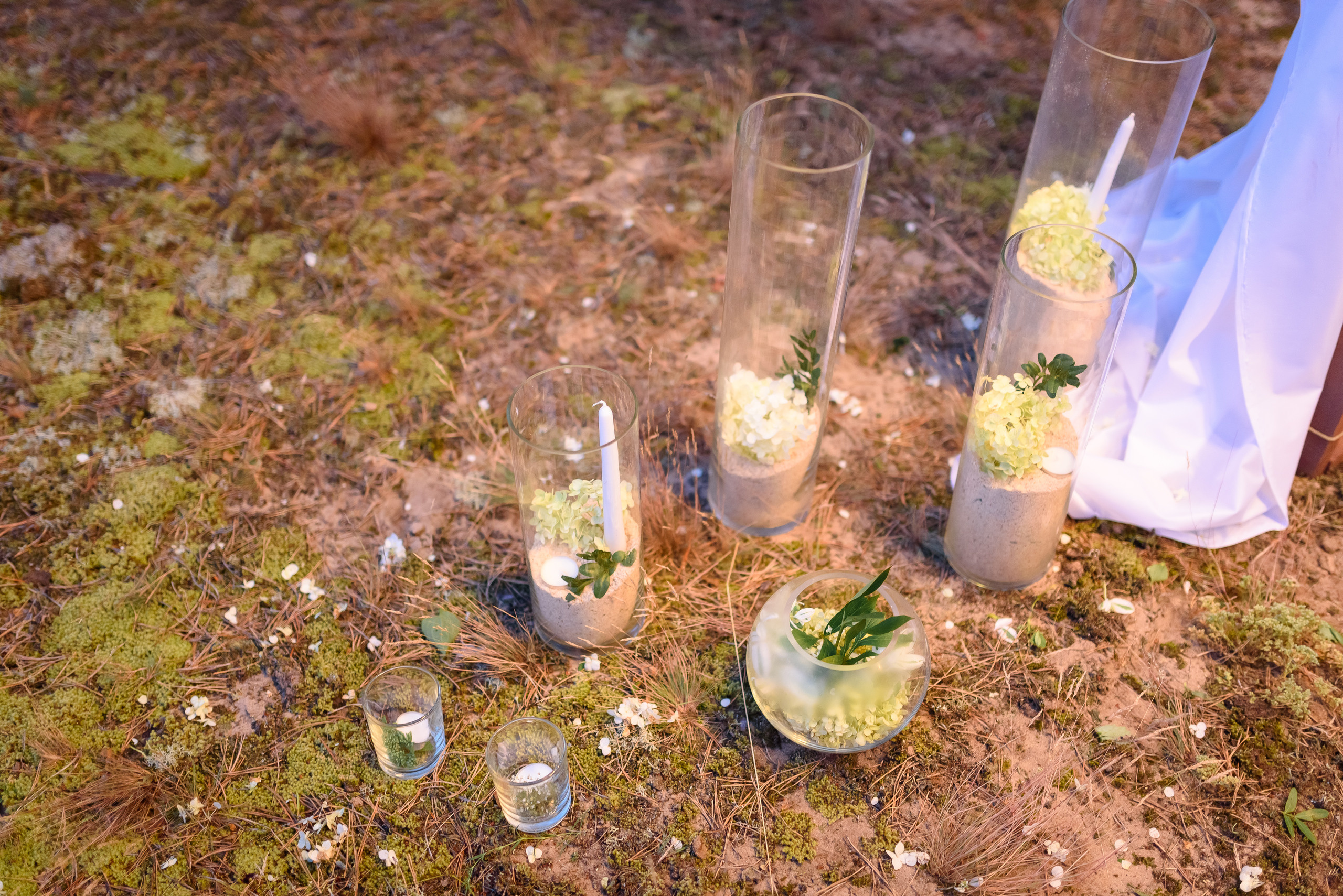 Вечерняя регистрация. Свадебный и семейный фотограф в Гродно Андрей Явейшис