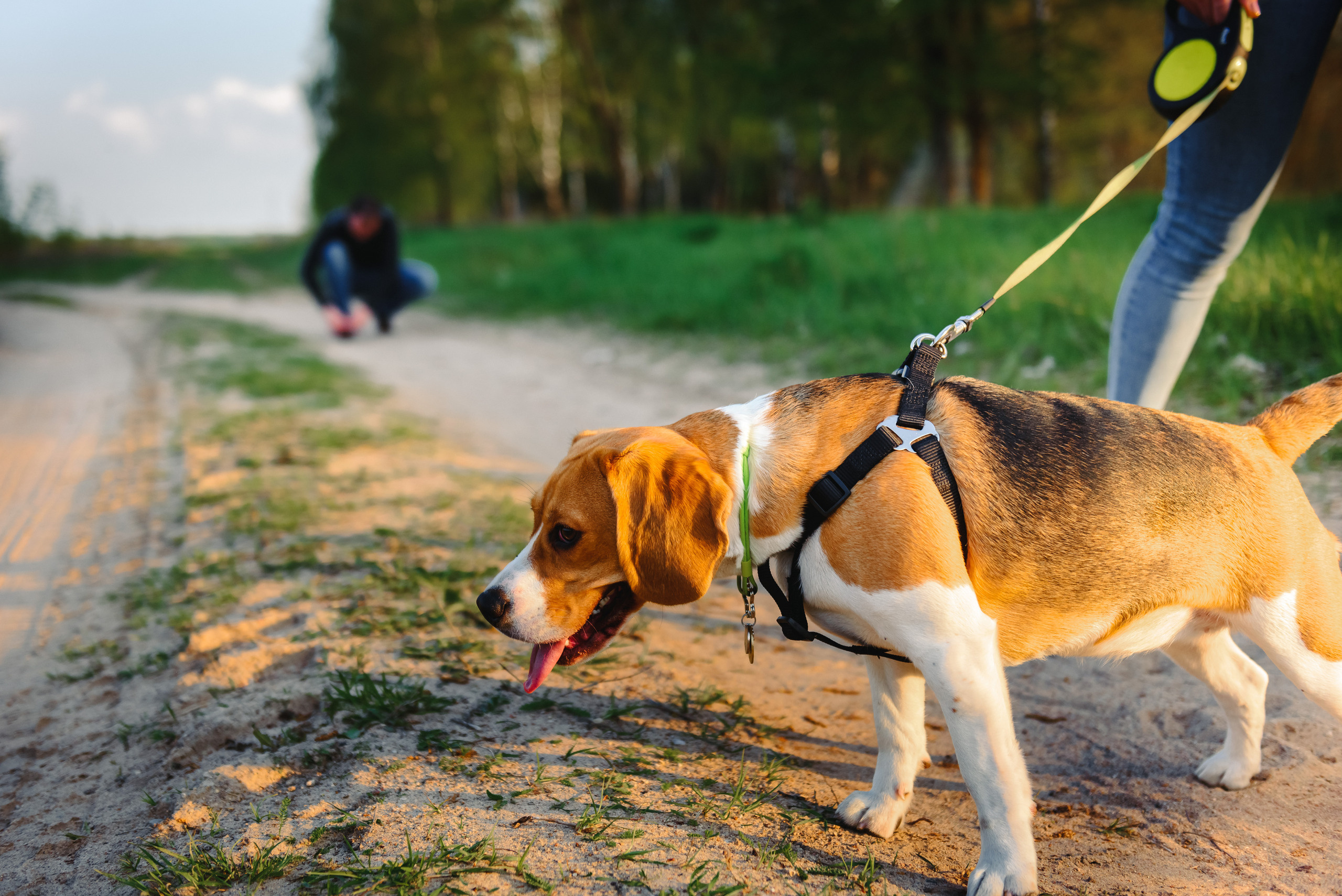 Анастасия и Андрей. Свадебный и семейный фотограф в Гродно Андрей Явейшис