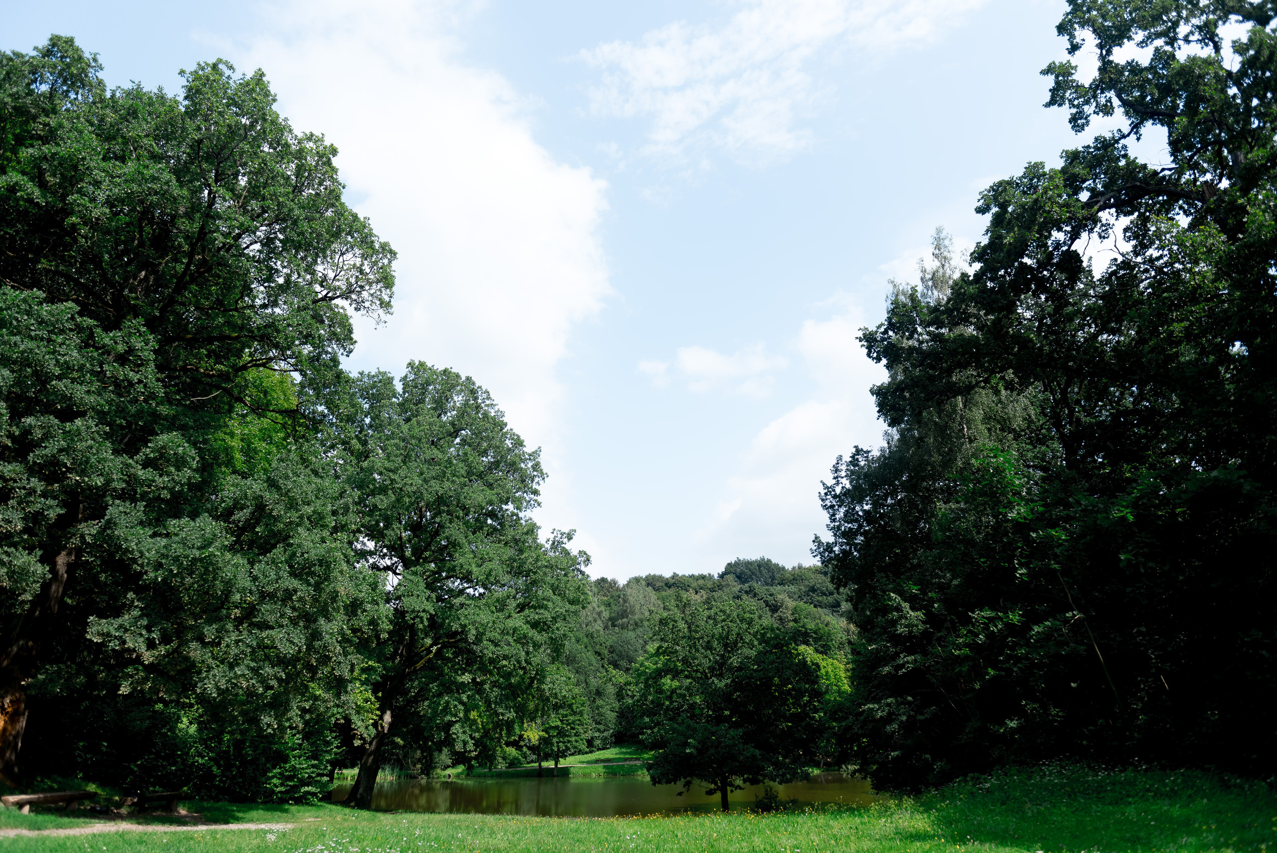 Илона и Томас. Свадебный и семейный фотограф в Гродно Андрей Явейшис