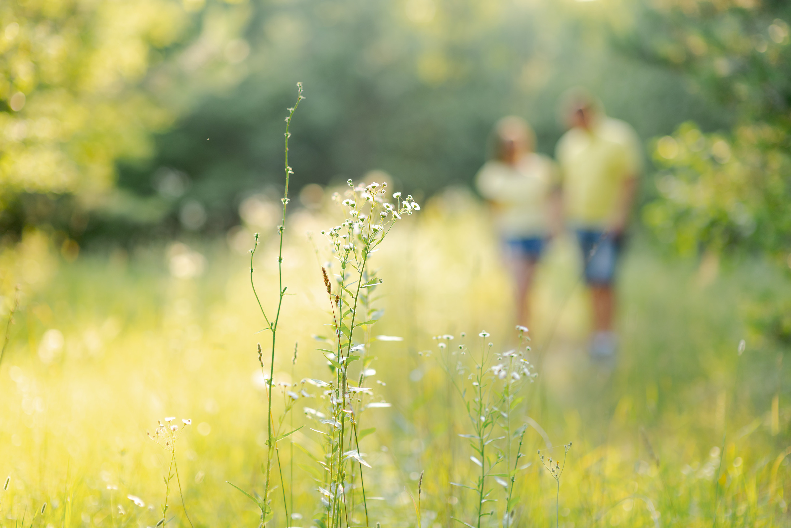 Анна и Иван. Свадебный и семейный фотограф в Гродно Андрей Явейшис