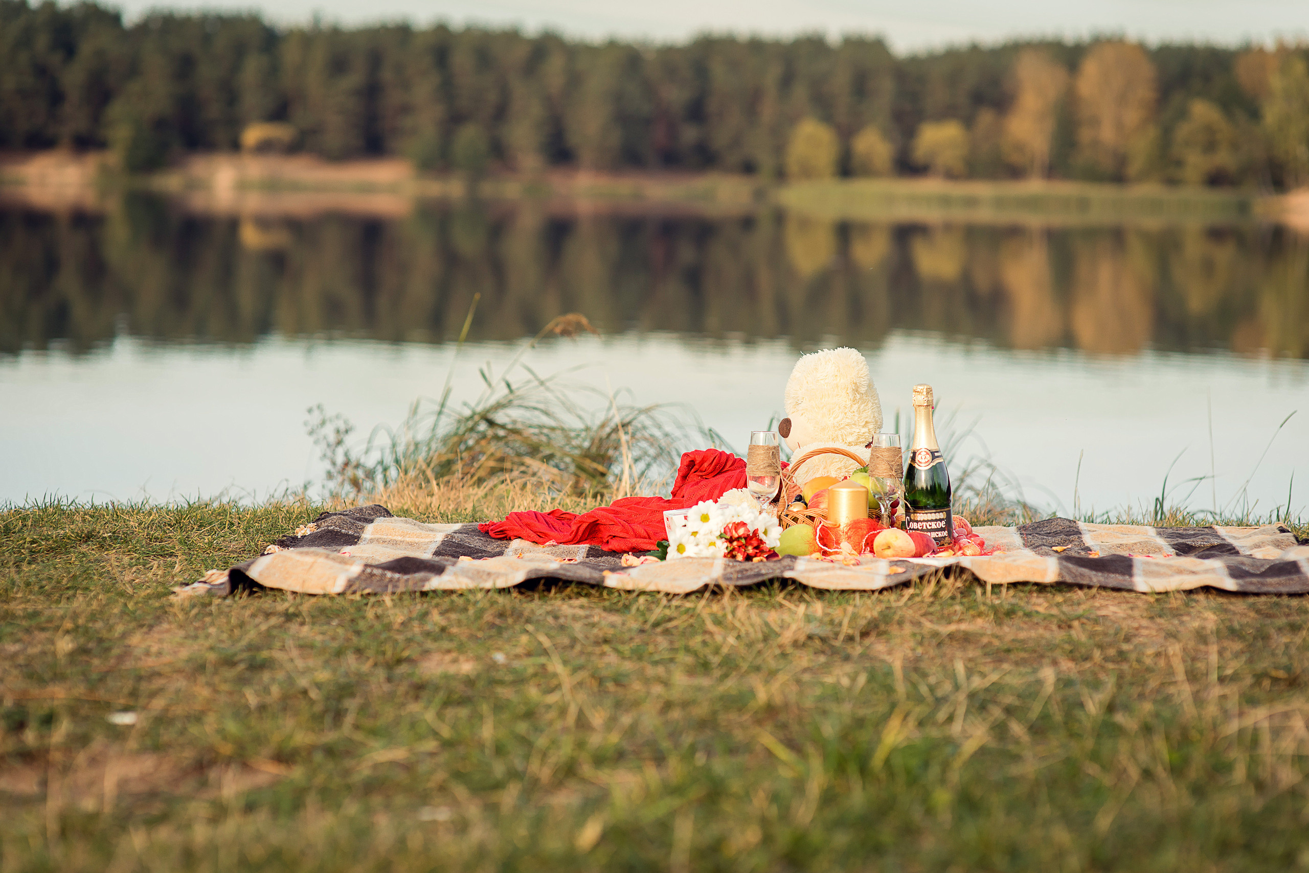 Екатерина и Константин. Свадебный и семейный фотограф в Гродно Андрей Явейшис