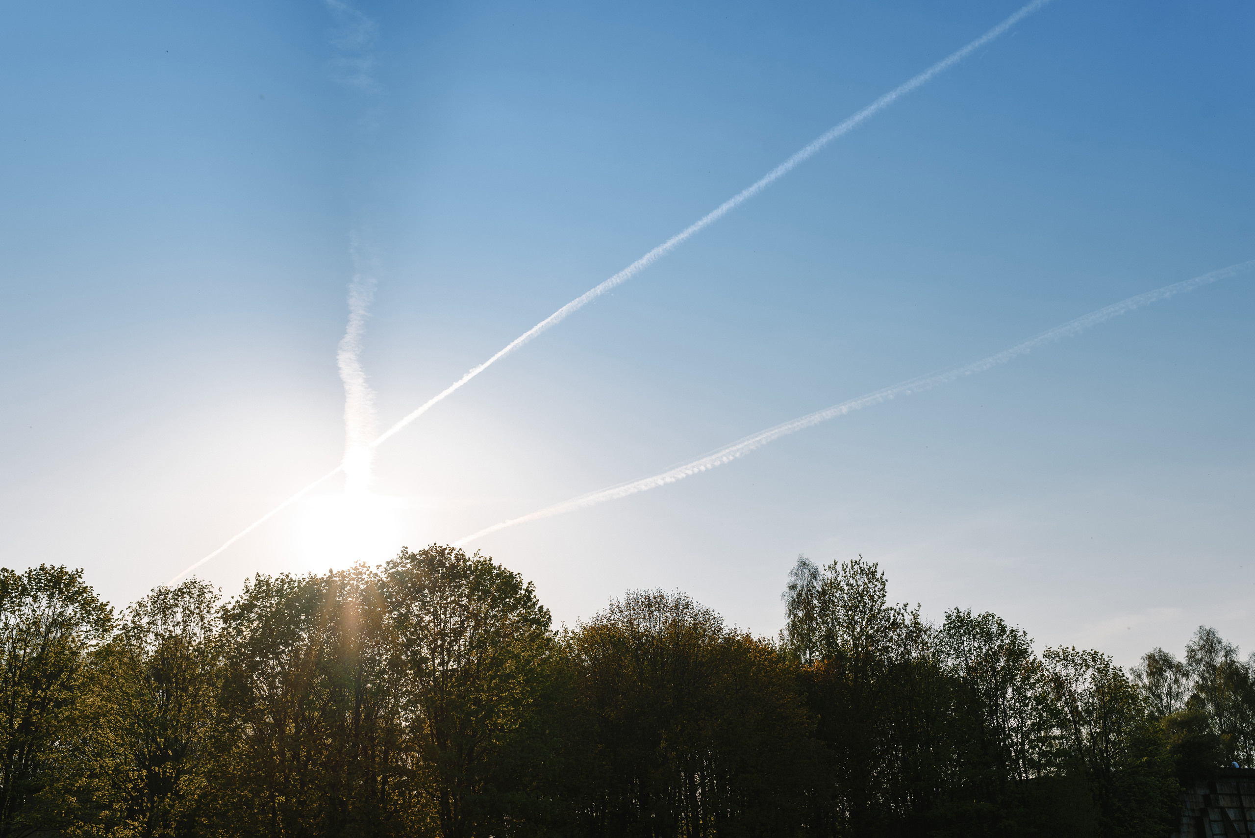 Анастасия и Андрей. Свадебный и семейный фотограф в Гродно Андрей Явейшис