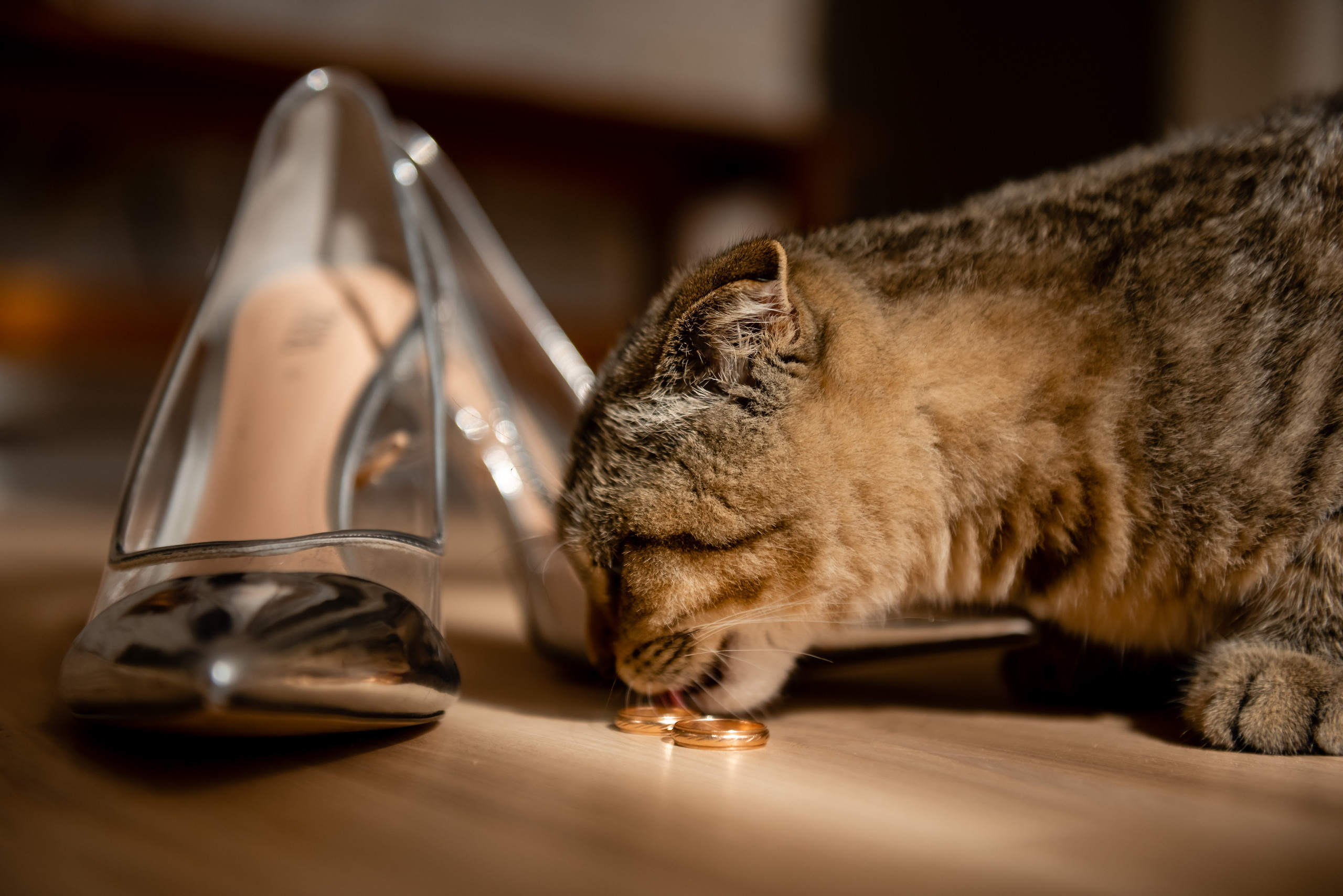 Клятва. Свадебный и семейный фотограф в Гродно Андрей Явейшис