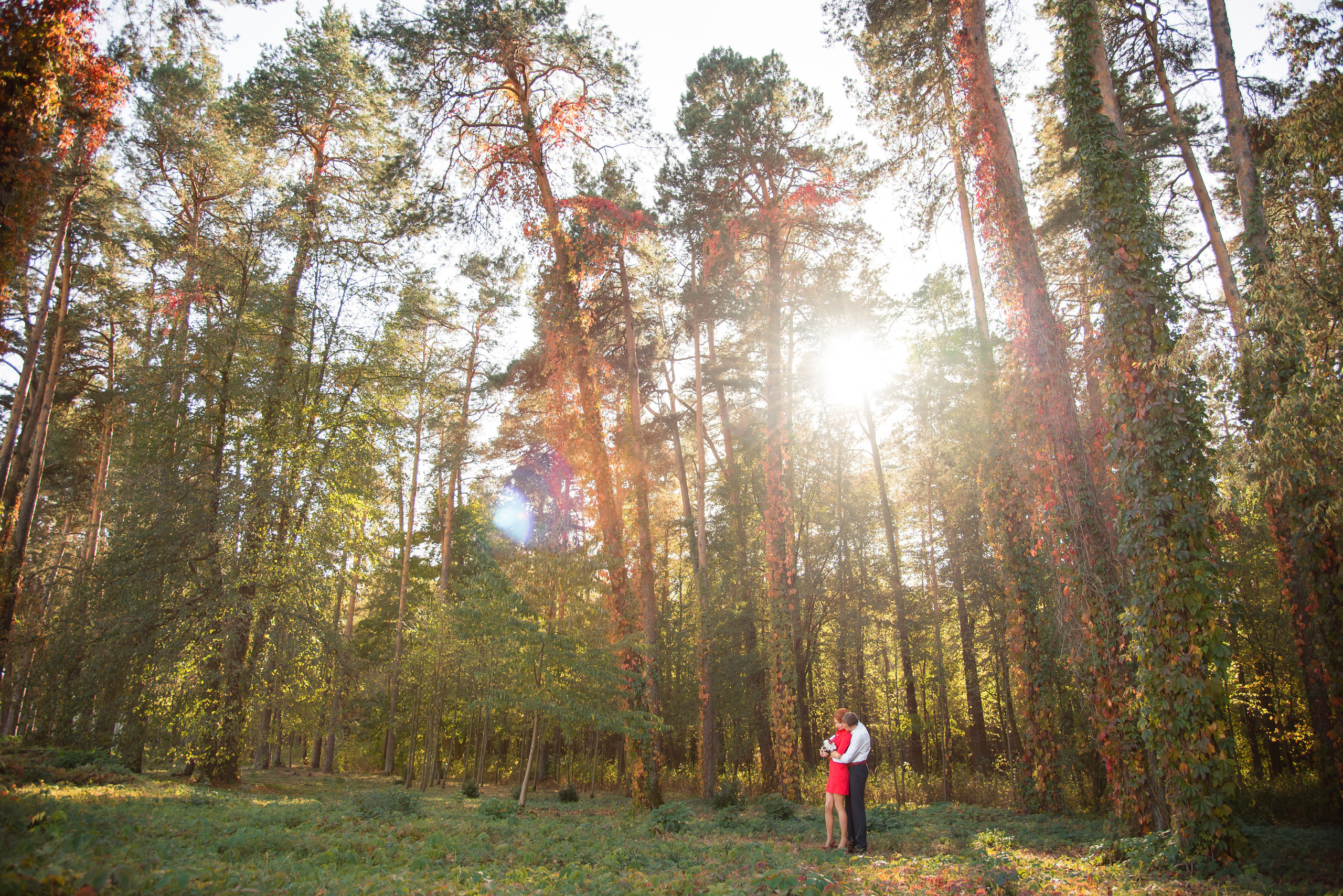 Екатерина и Константин. Свадебный и семейный фотограф в Гродно Андрей Явейшис