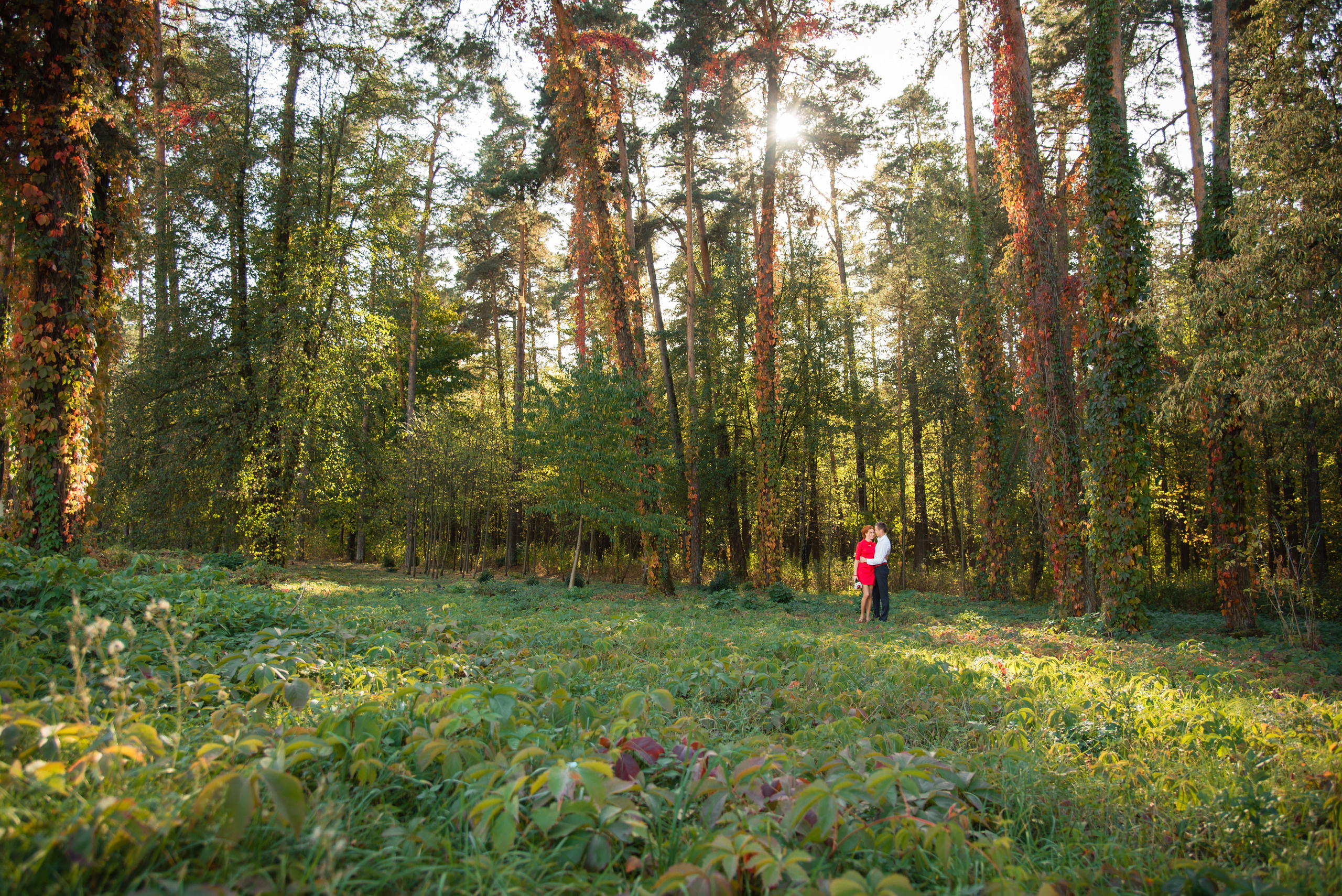 Екатерина и Константин. Свадебный и семейный фотограф в Гродно Андрей Явейшис