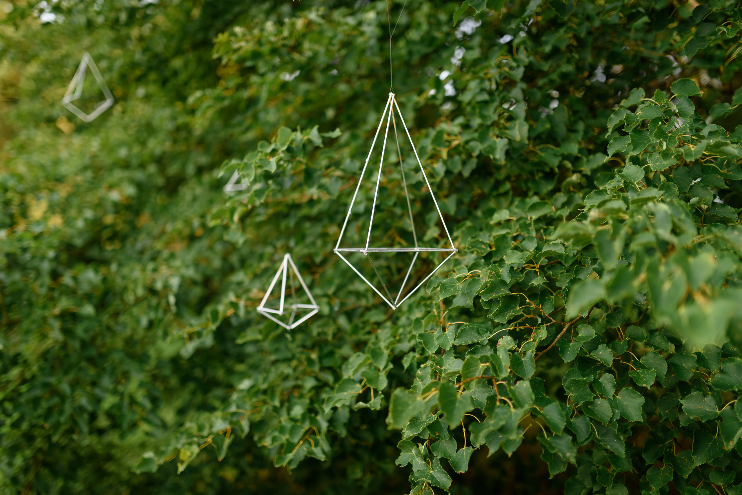 Вечерняя регистрация. Свадебный и семейный фотограф в Гродно Андрей Явейшис