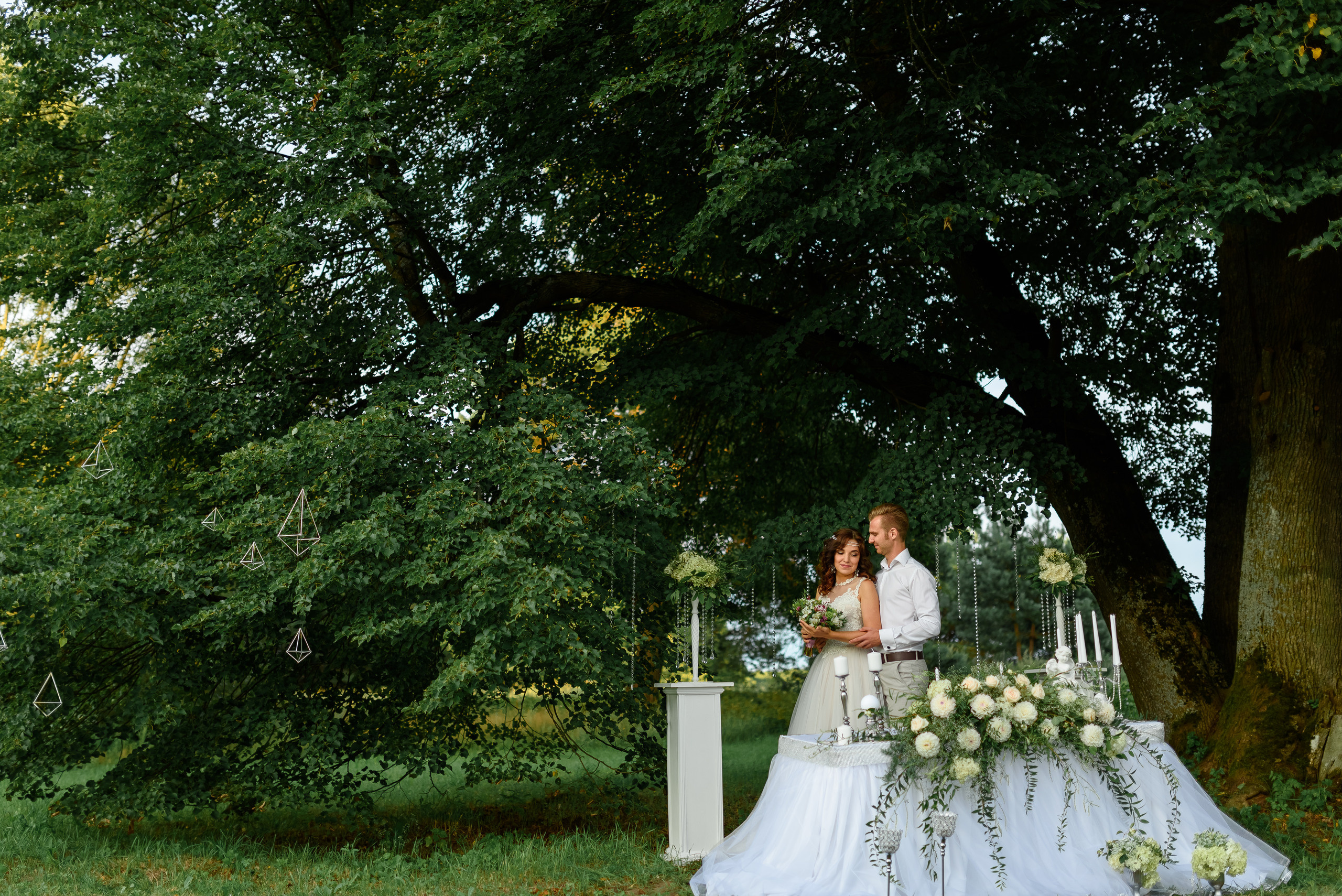 Вечерняя регистрация. Свадебный и семейный фотограф в Гродно Андрей Явейшис